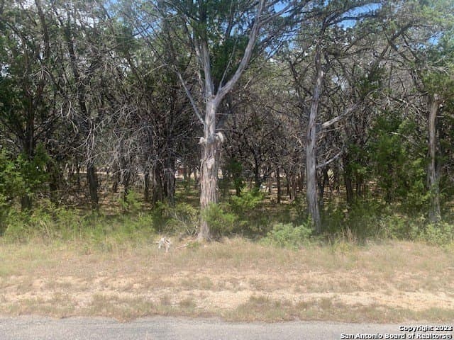 1.09 acres in Comal County gallery image 3