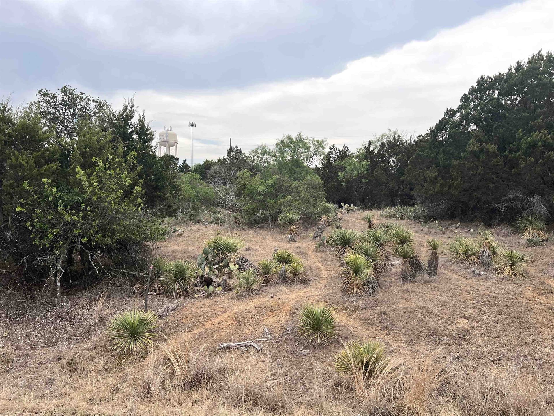 0.23 acres in Burnet County - photo 7