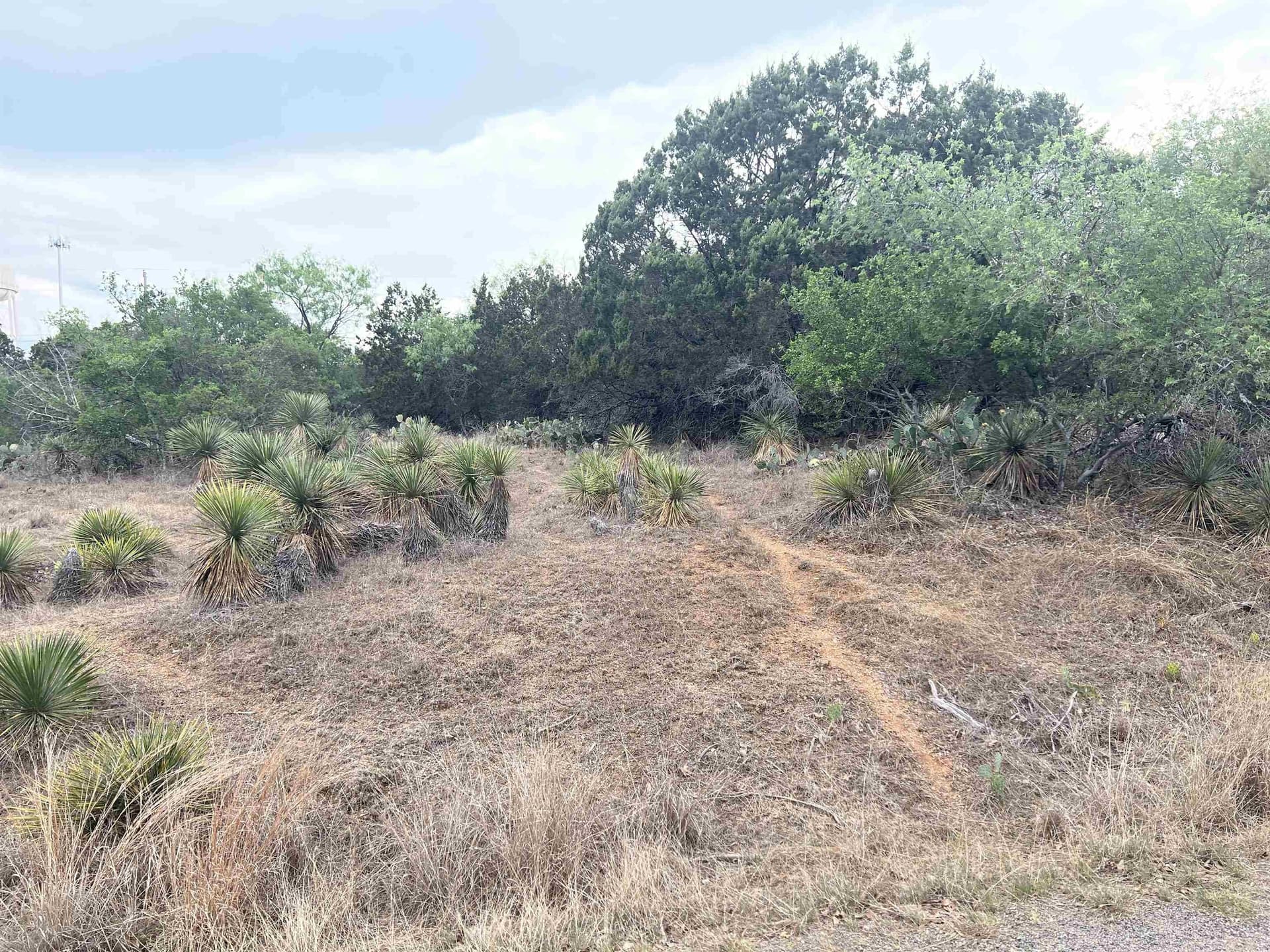 0.23 acres in Burnet County gallery image 4