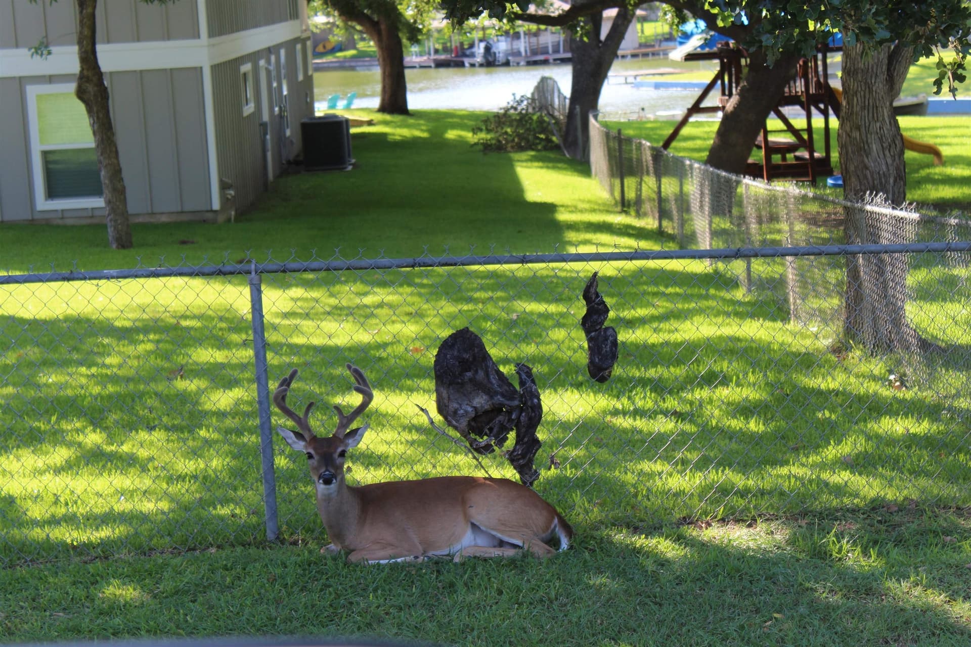 0.23 acres in Burnet County - photo 18