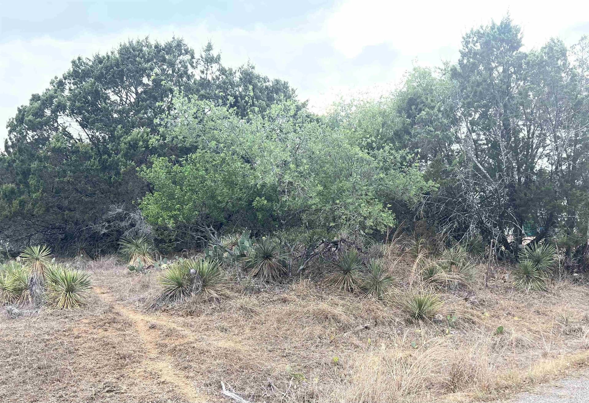 0.23 acres in Burnet County featured view