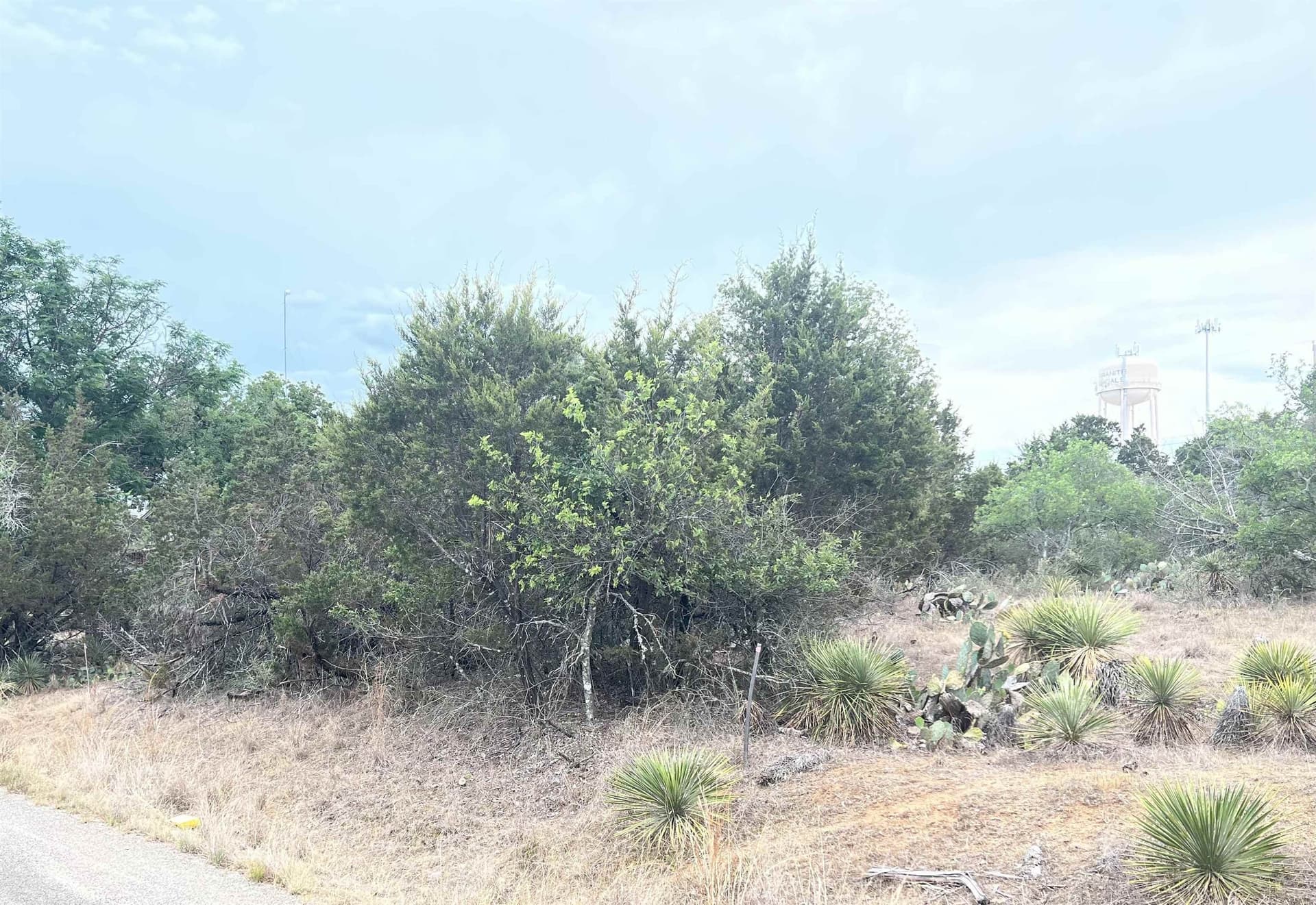 0.23 acres in Burnet County gallery image 2