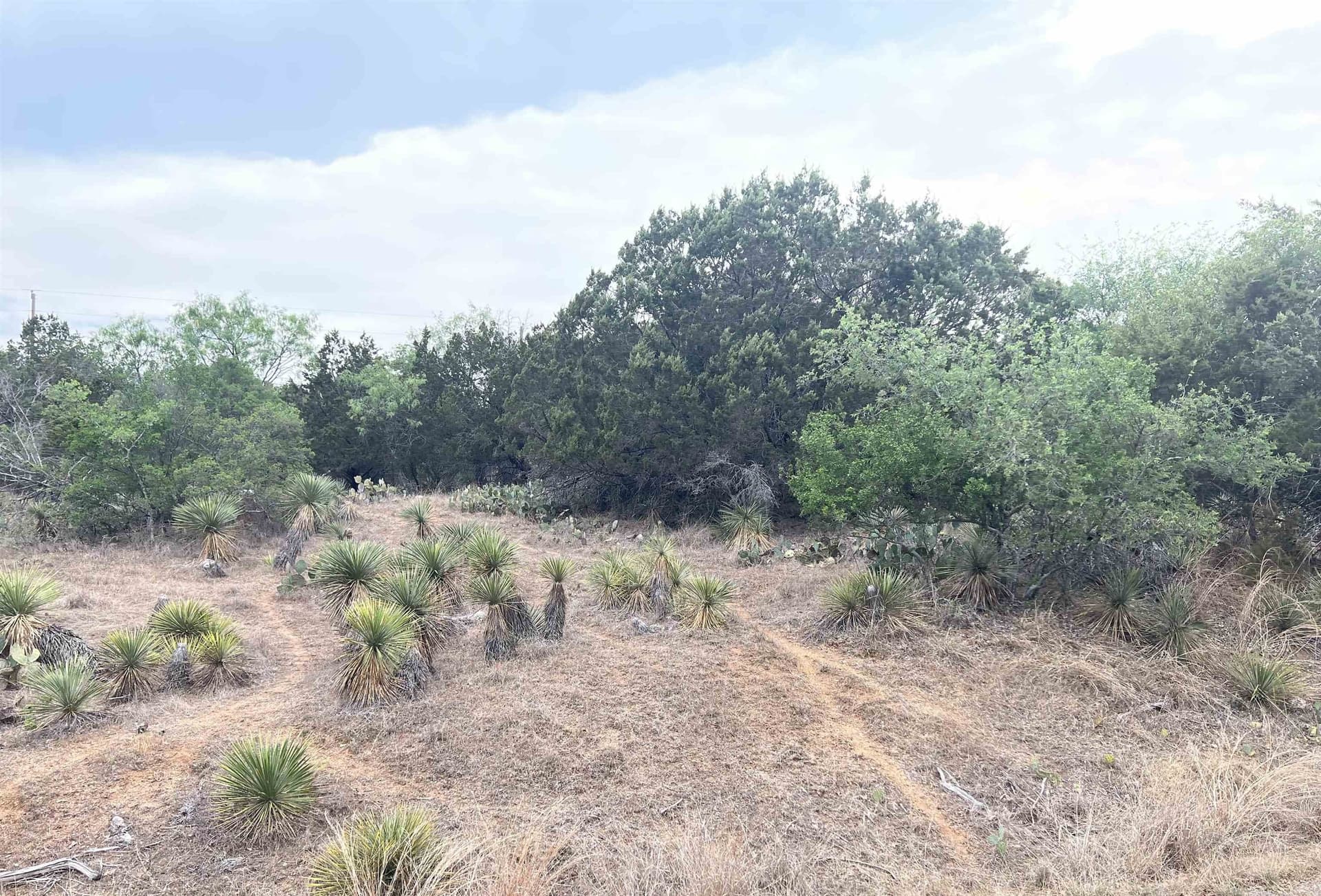 0.23 acres in Burnet County - photo 6