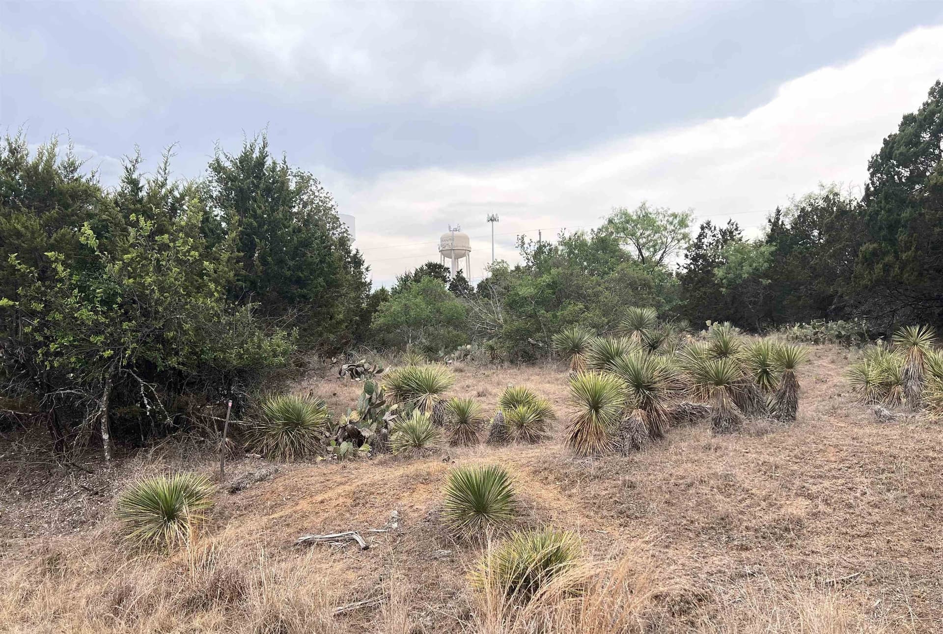 0.23 acres in Burnet County gallery image 3