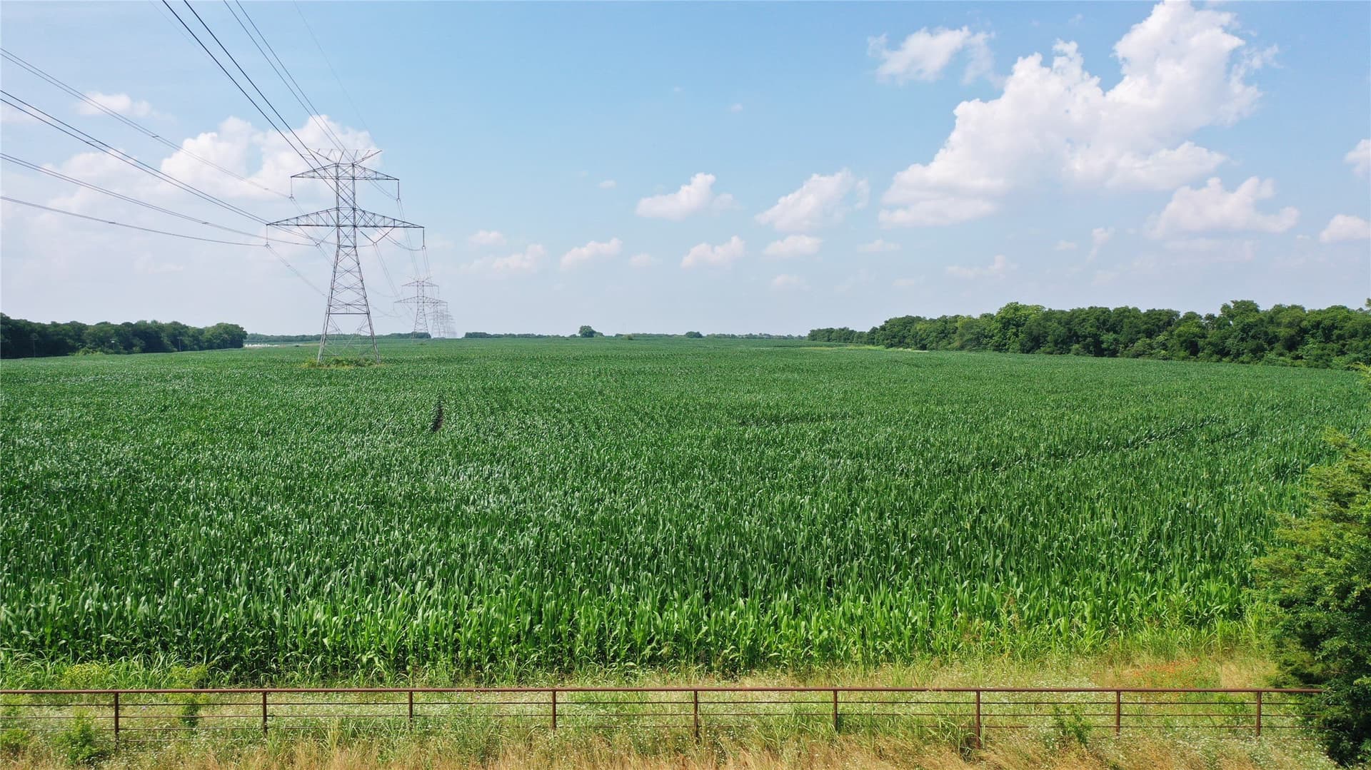 260.39 acres in Fannin County - photo 5