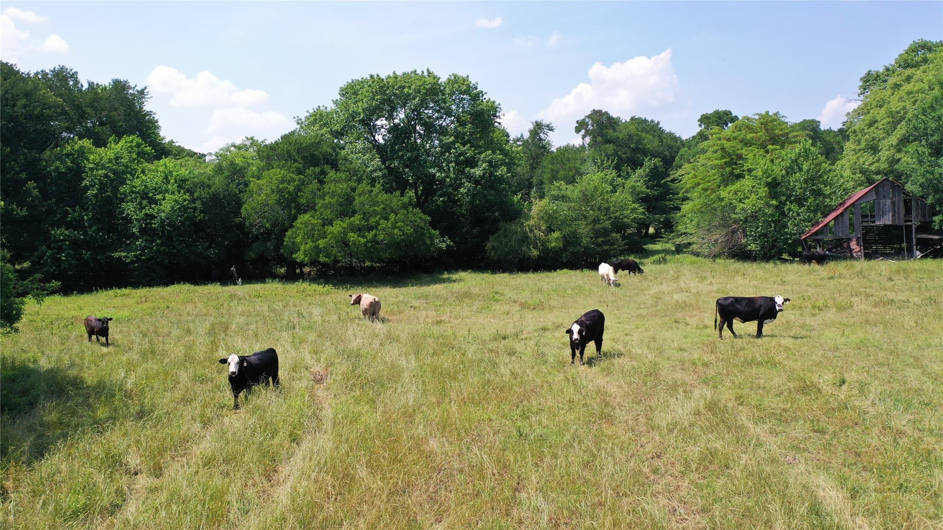 260.39 acres in Fannin County - photo 15