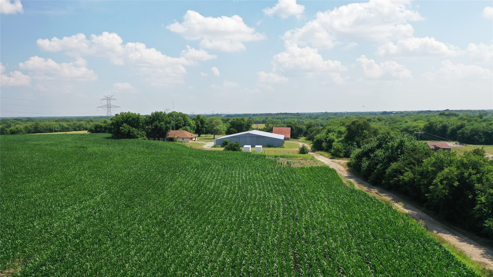 260.39 acres in Fannin County - photo 4