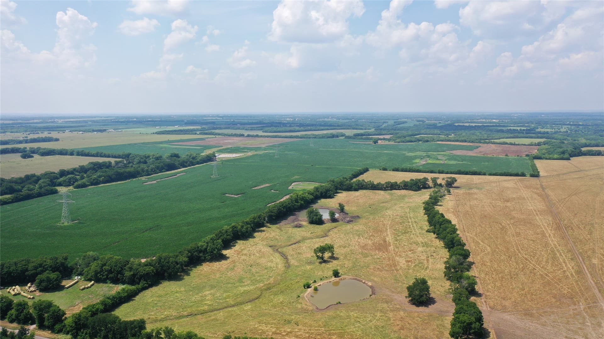 260.39 acres in Fannin County - photo 9