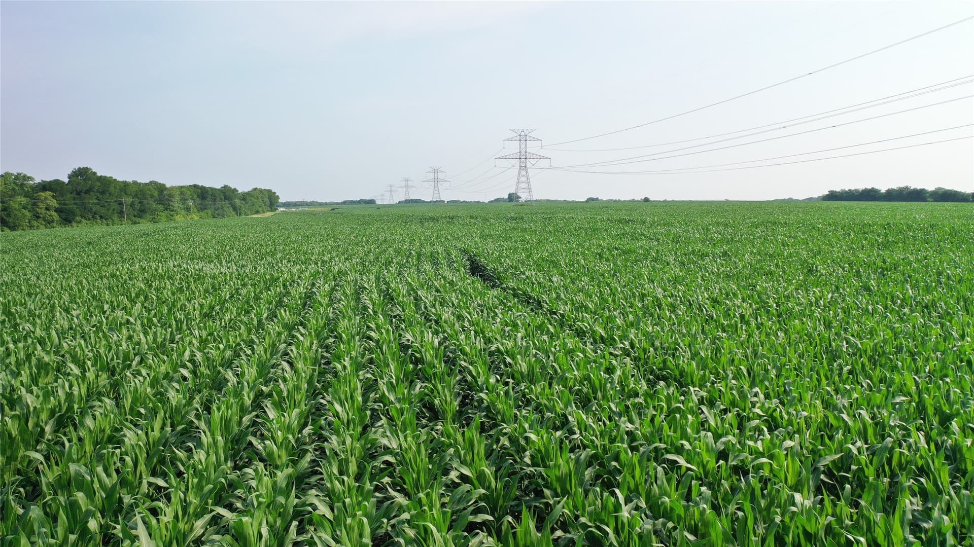 260.39 acres in Fannin County - photo 21