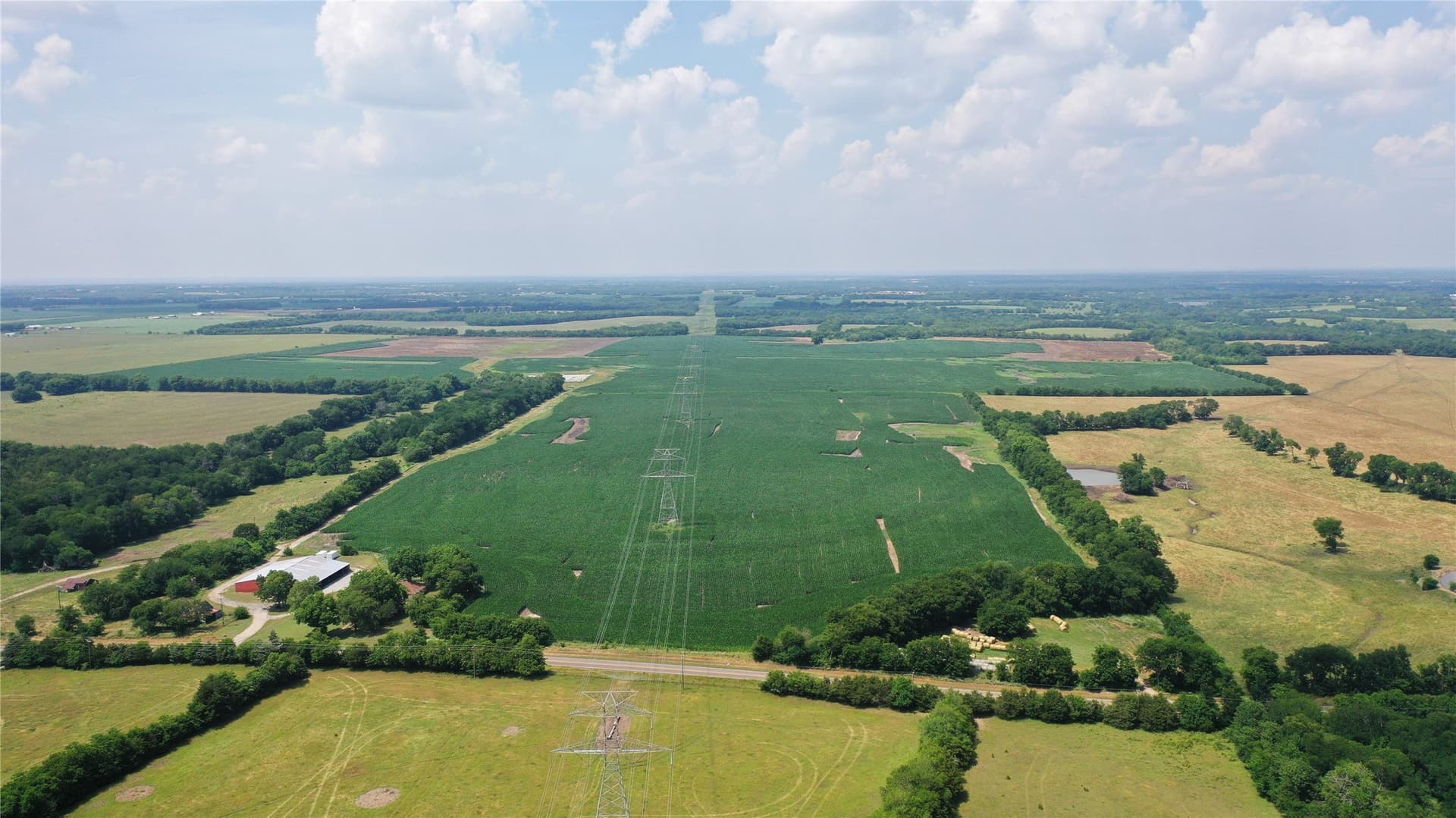 260.39 acres in Fannin County - photo 10
