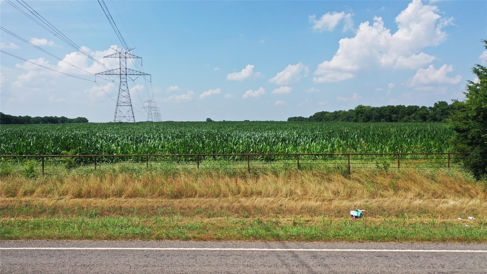 260.39 acres in Fannin County - photo 6