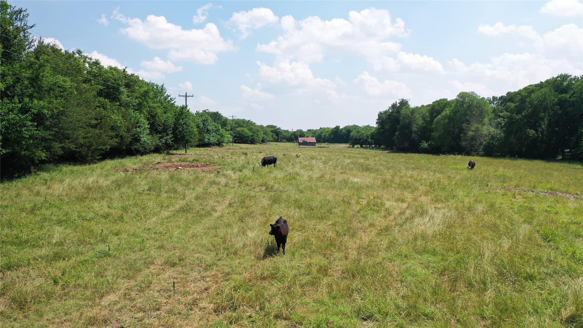 260.39 acres in Fannin County - photo 17