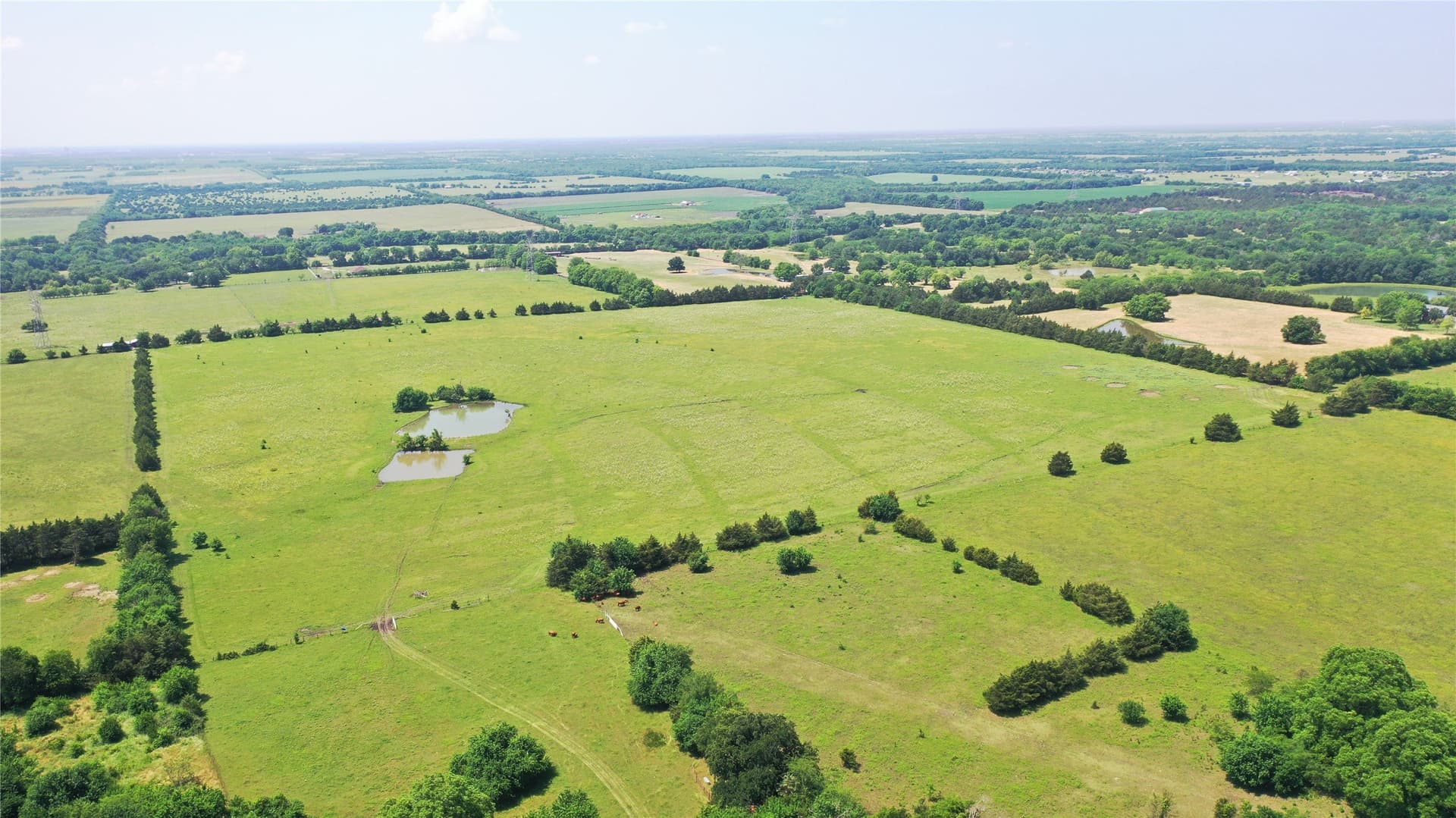 260.39 acres in Fannin County - photo 8