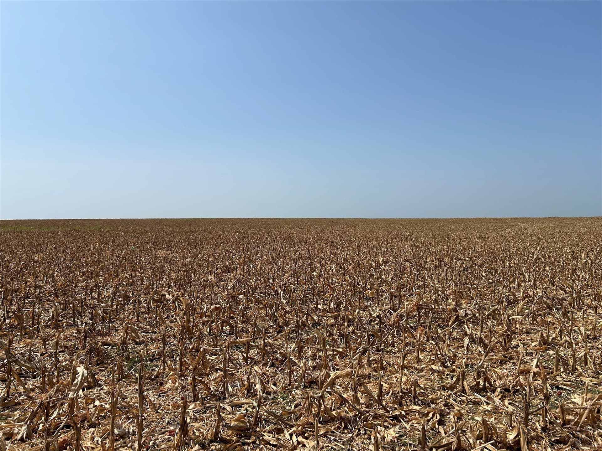 99.34 acres in Hill County - photo 11