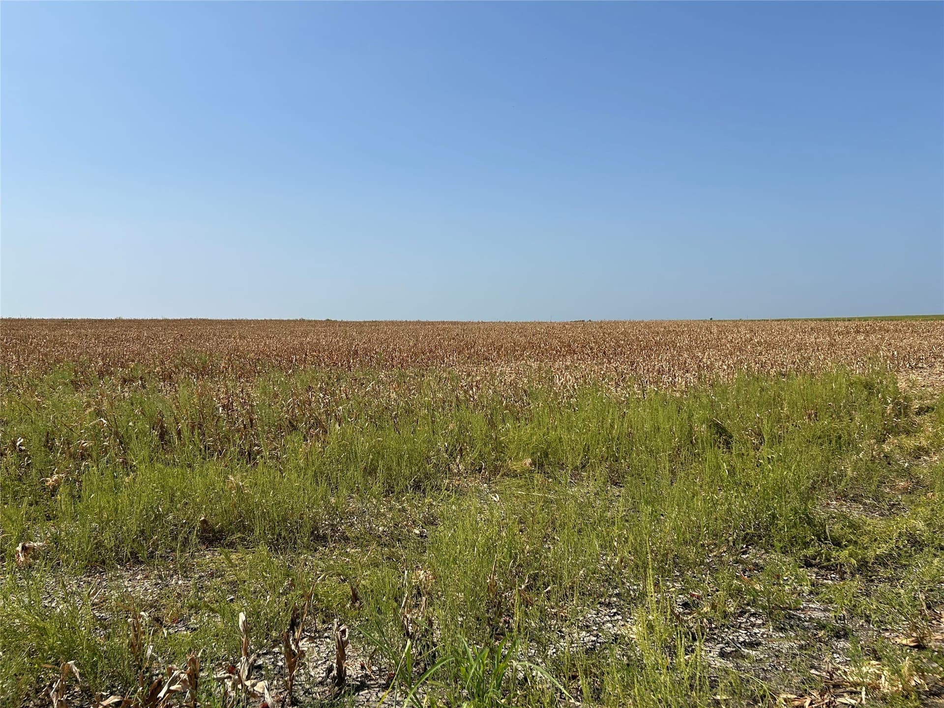 99.34 acres in Hill County - photo 14