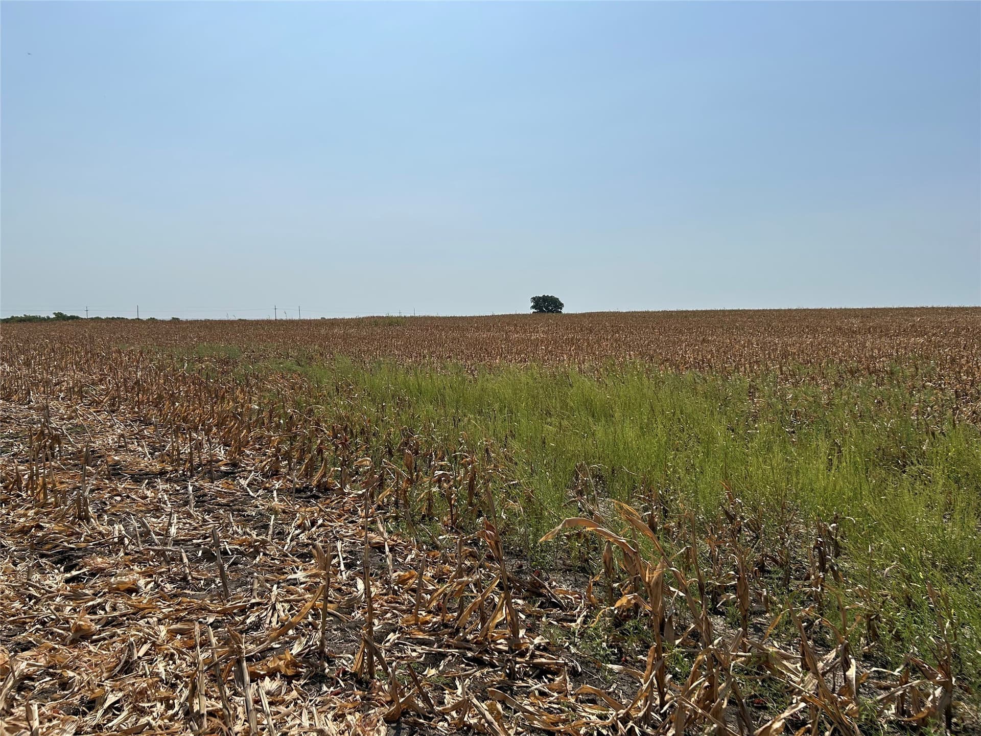 99.34 acres in Hill County - photo 13