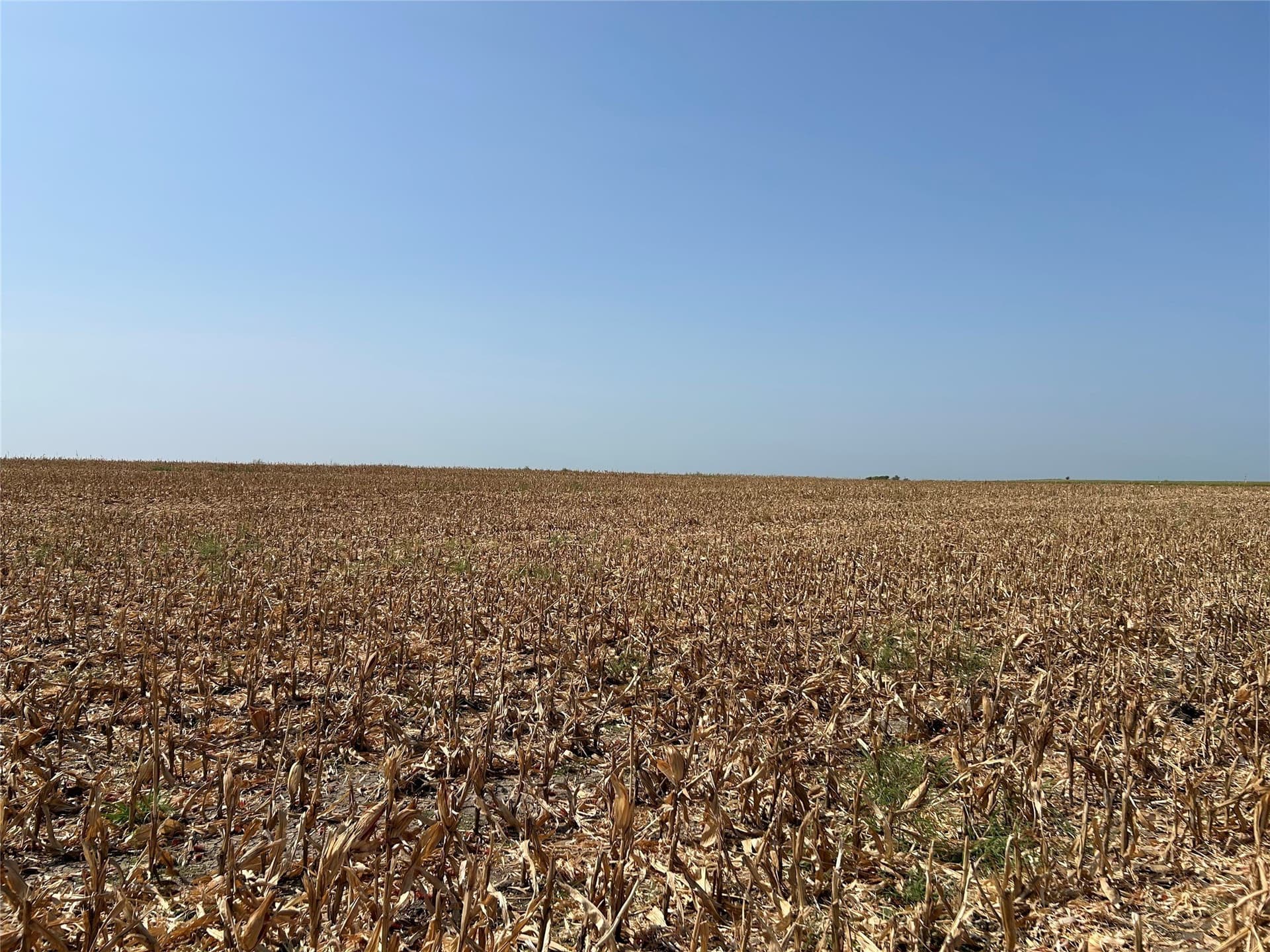 99.34 acres in Hill County - photo 15