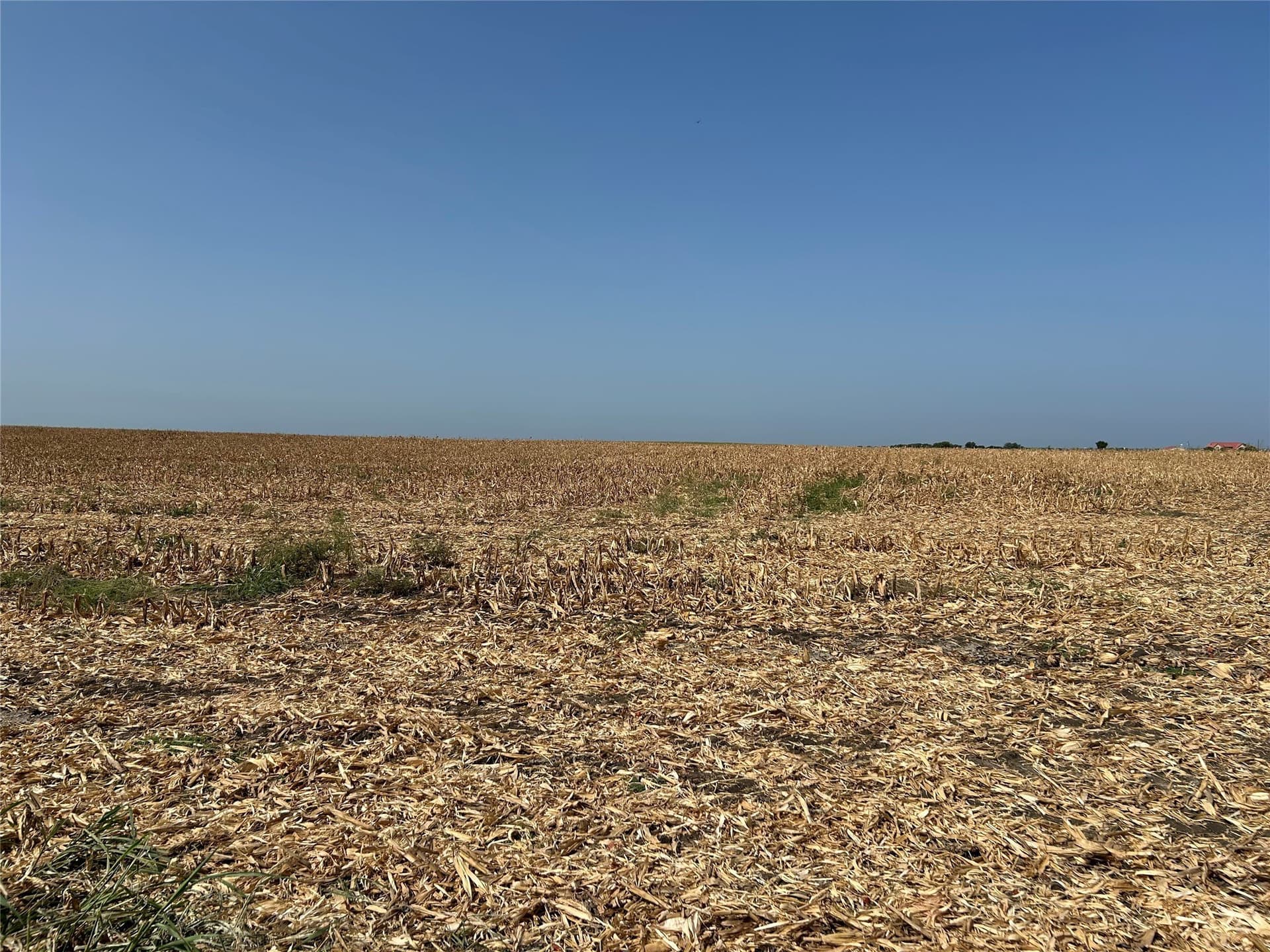 99.34 acres in Hill County - photo 8
