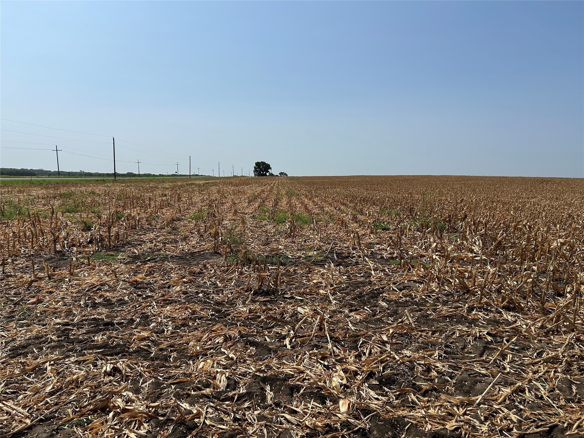 99.34 acres in Hill County - photo 9
