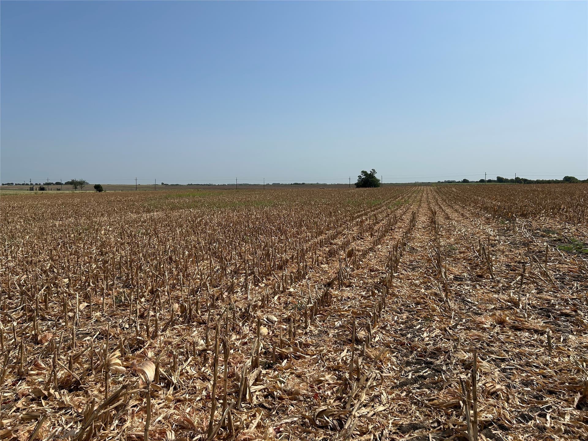 99.34 acres in Hill County - photo 12