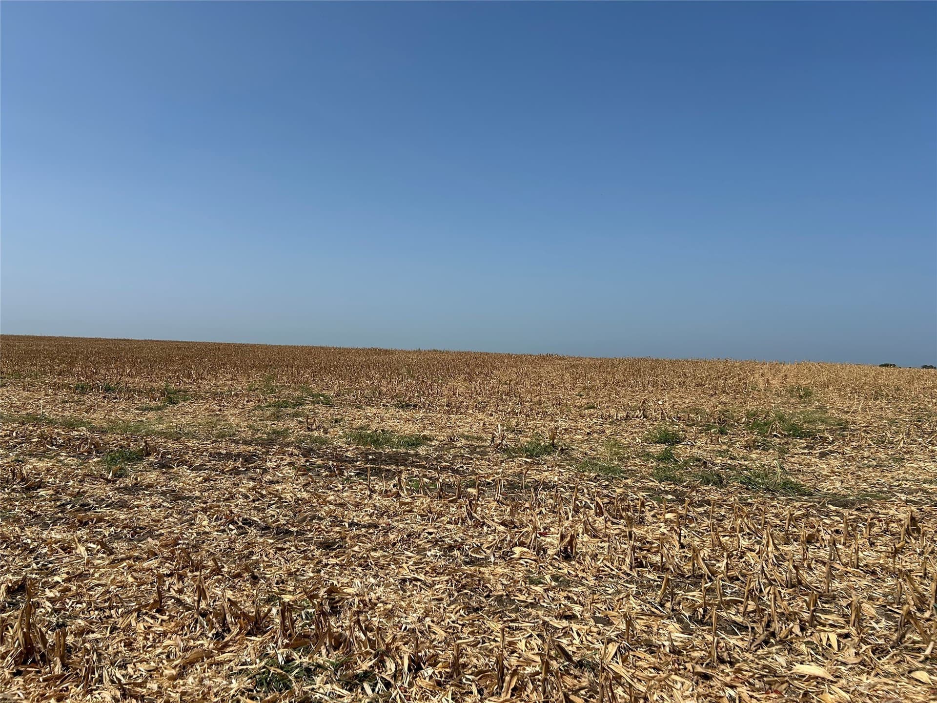 99.34 acres in Hill County - photo 7