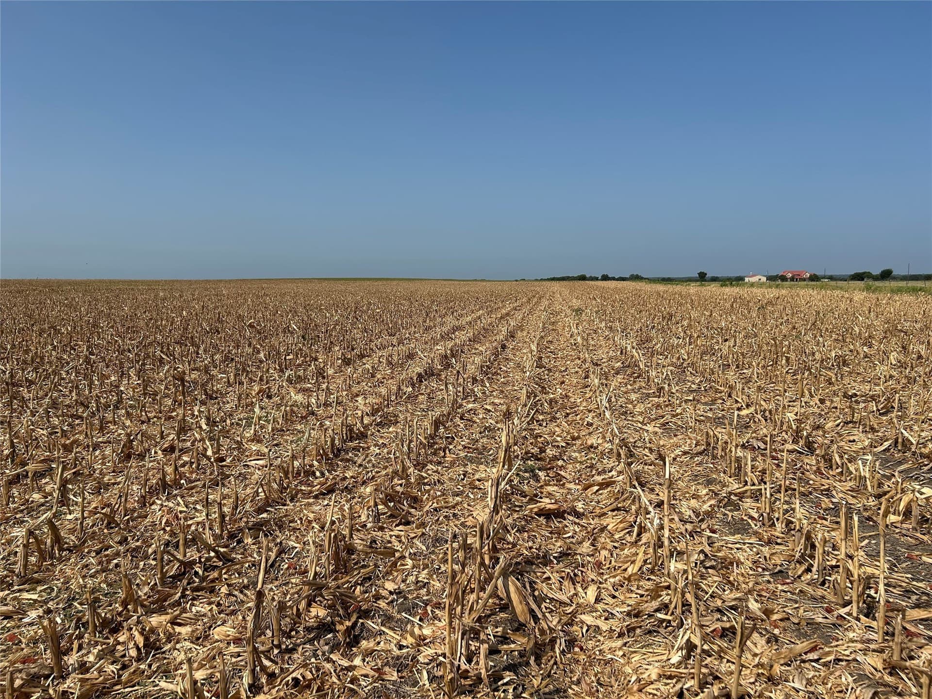 99.34 acres in Hill County - photo 10