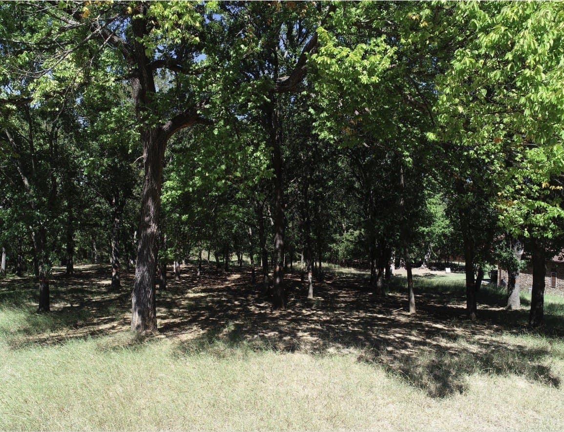 1.09 acres in Parker County - photo 8