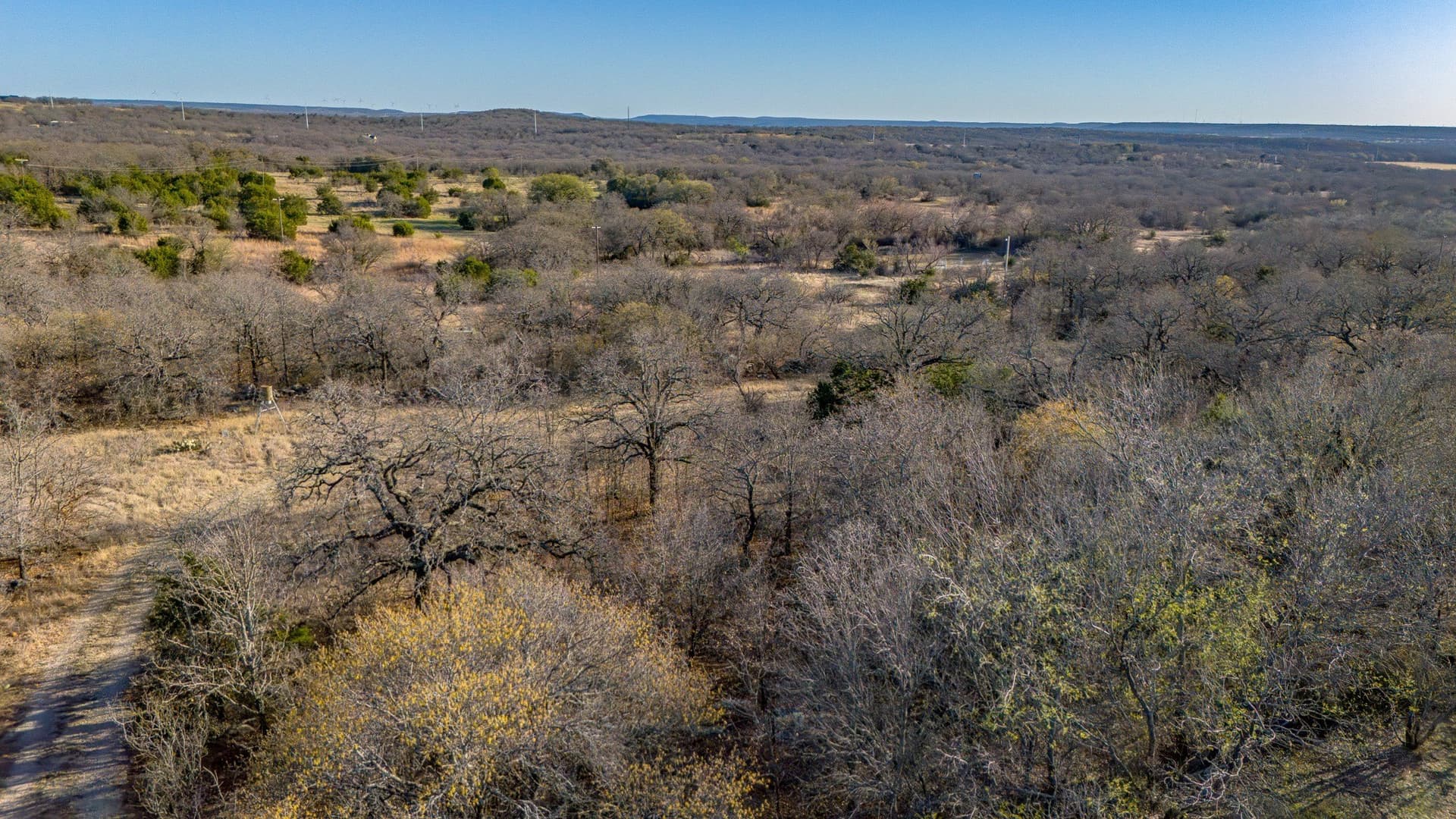 90 acres in Jack County - photo 14