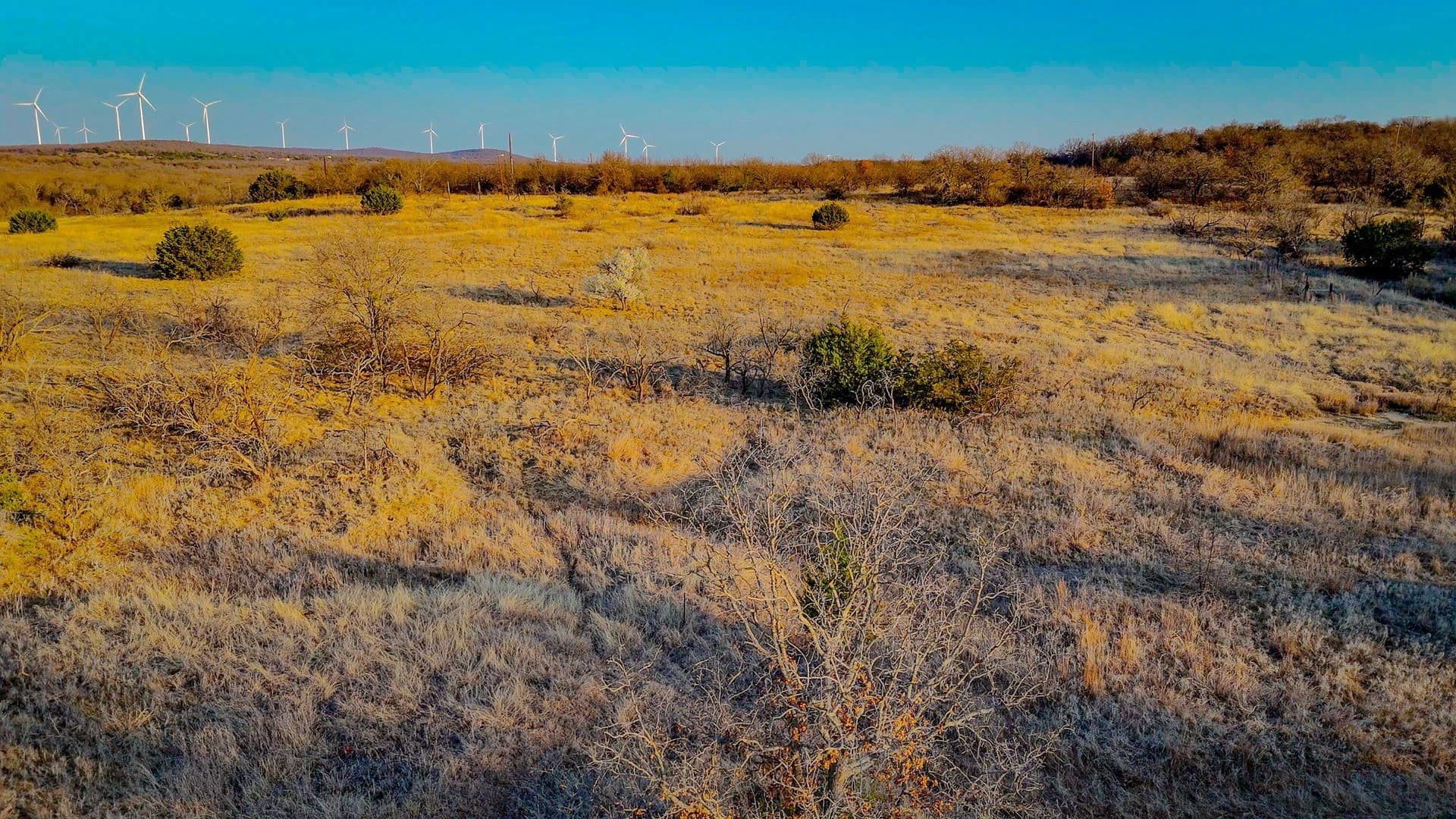 90 acres in Jack County - photo 13