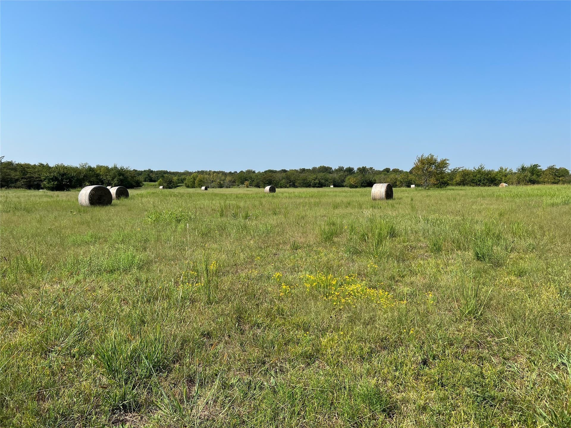 49.5 acres in Delta County - photo 13