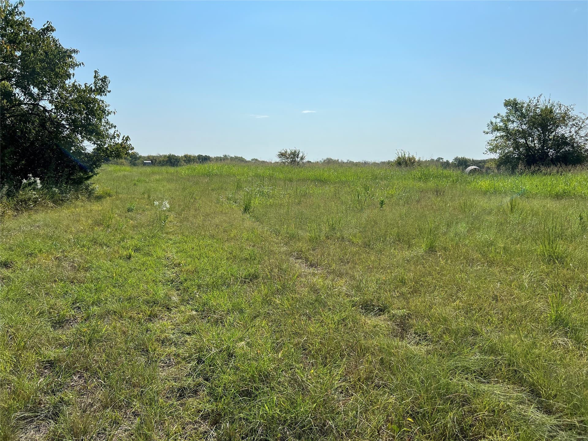 49.5 acres in Delta County - photo 9