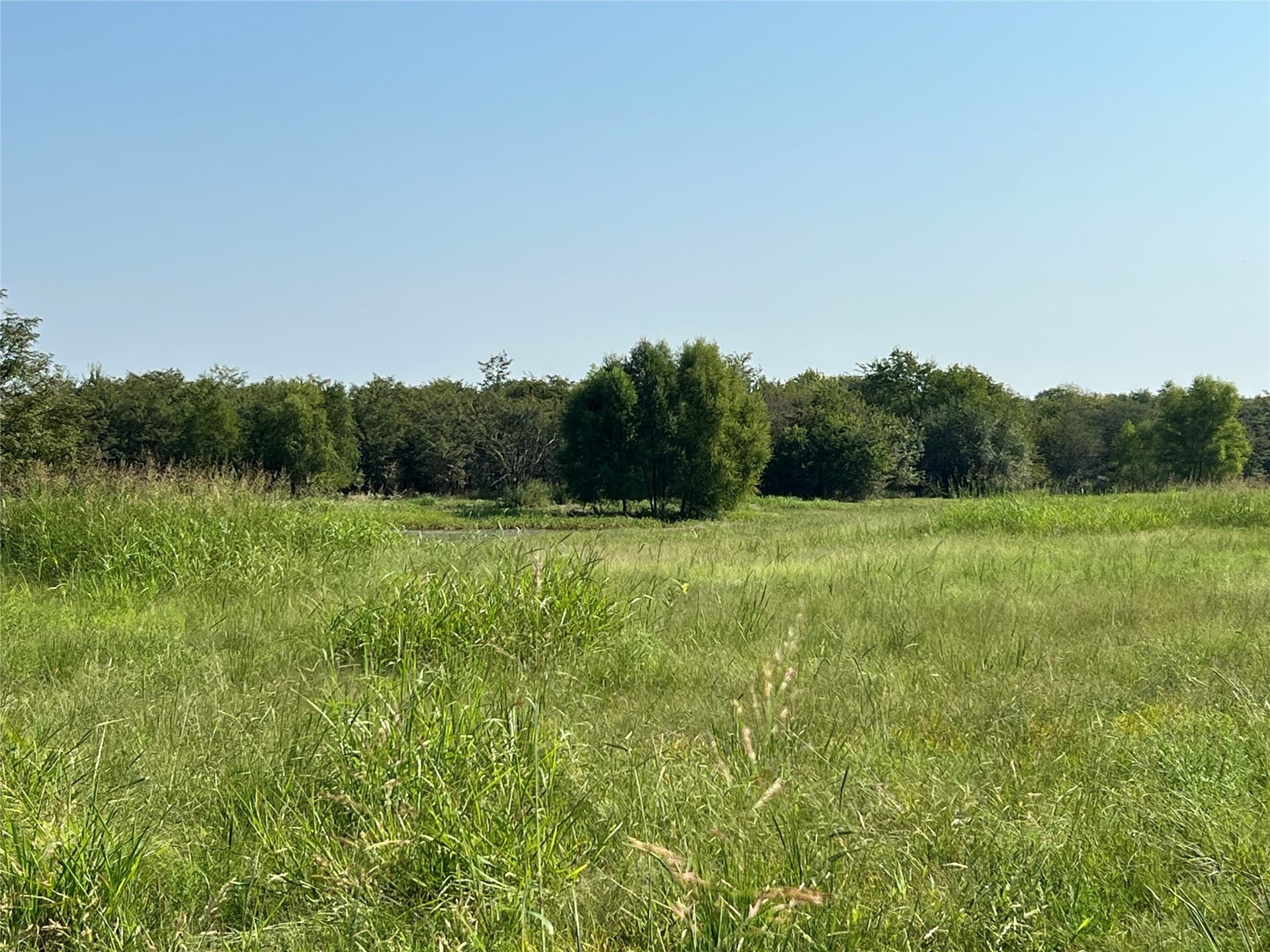 49.5 acres in Delta County - photo 12