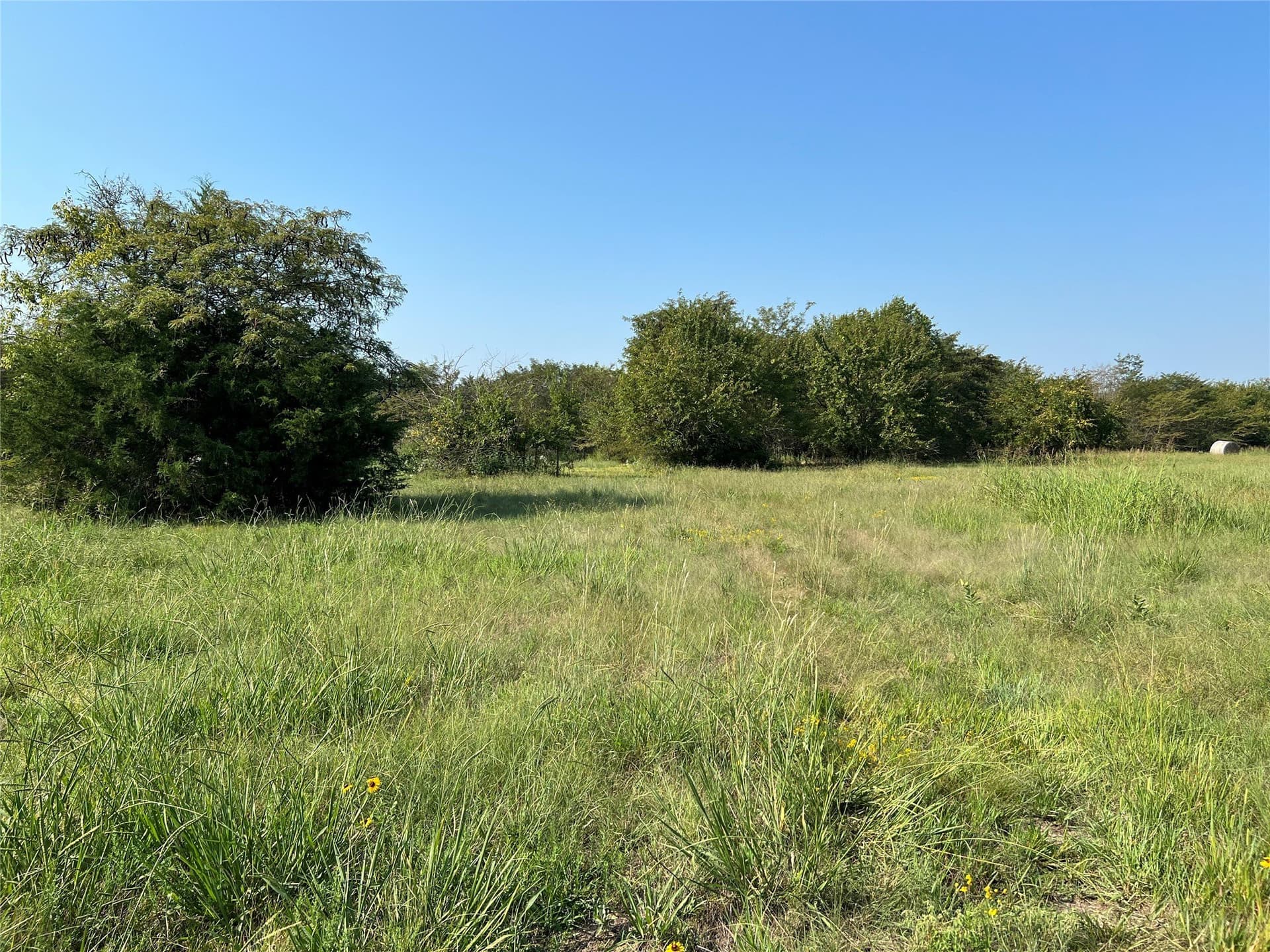 49.5 acres in Delta County - photo 22