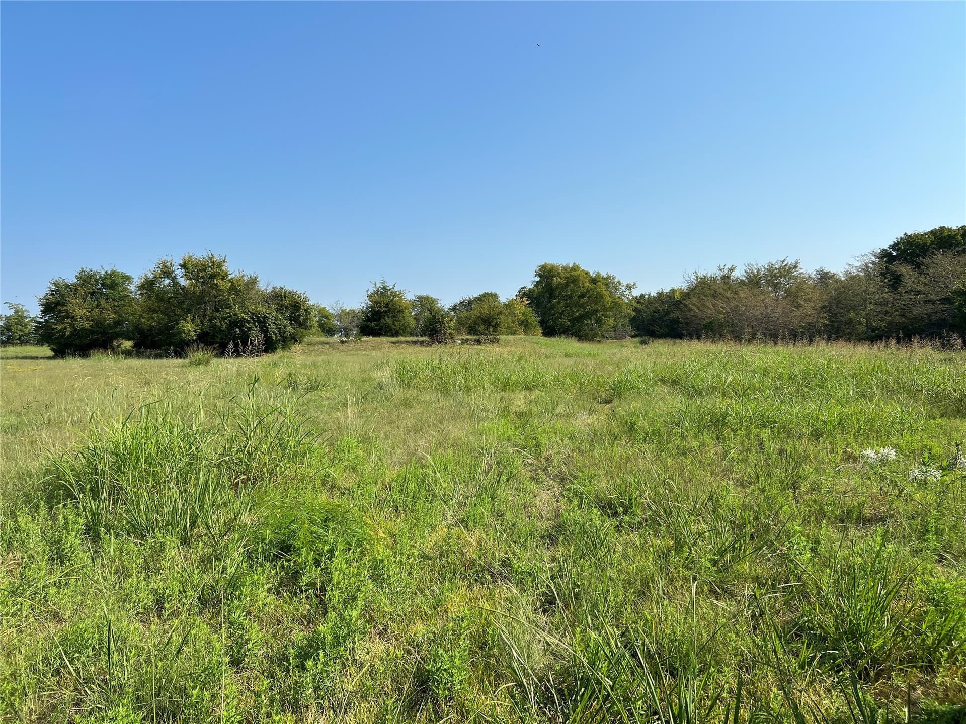49.5 acres in Delta County - photo 25