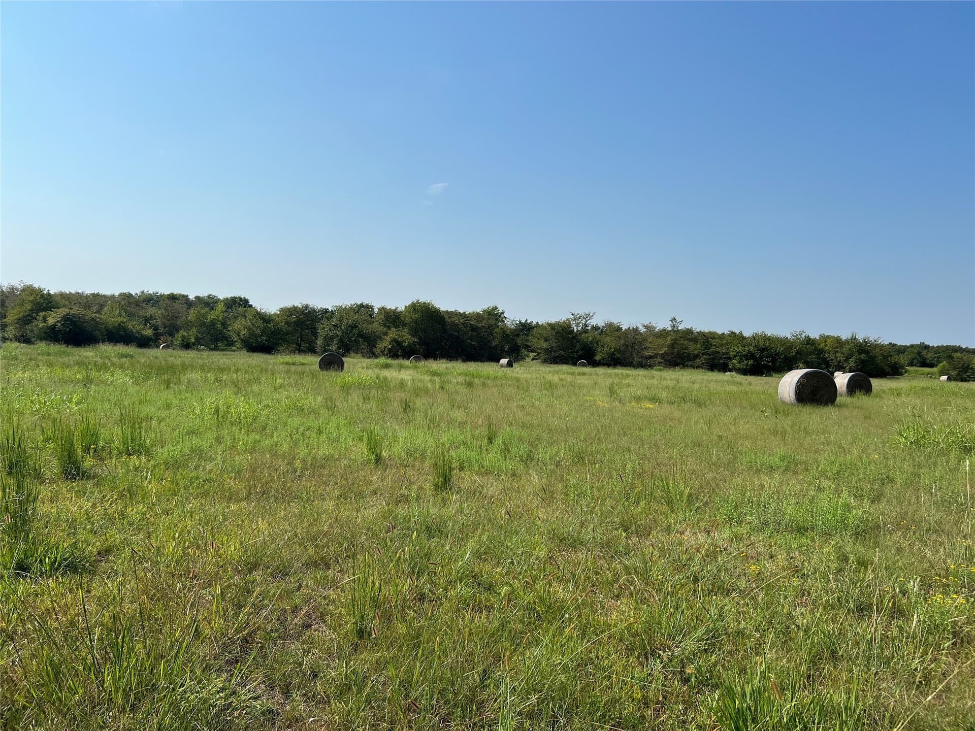 49.5 acres in Delta County - photo 11