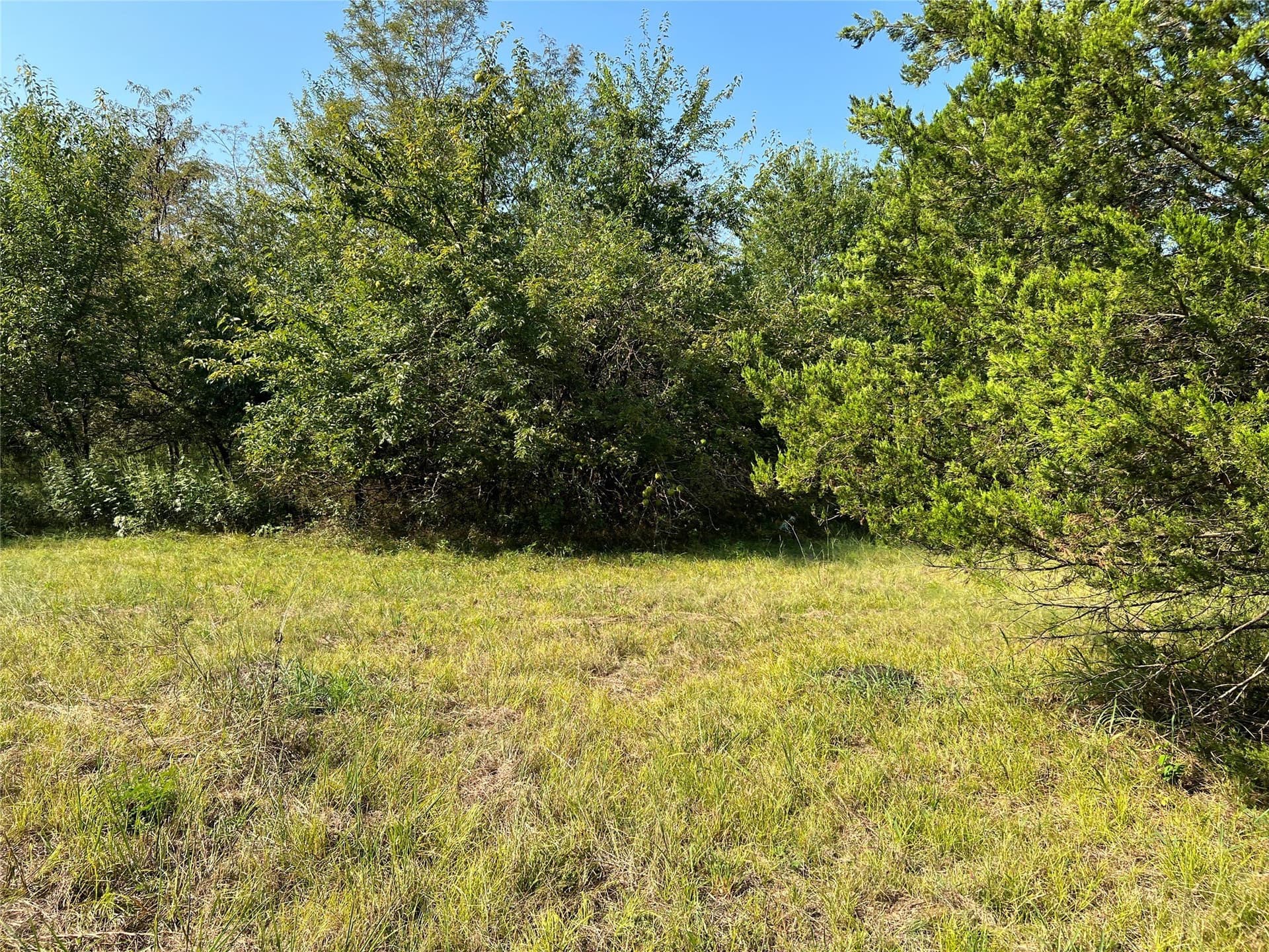 49.5 acres in Delta County - photo 21