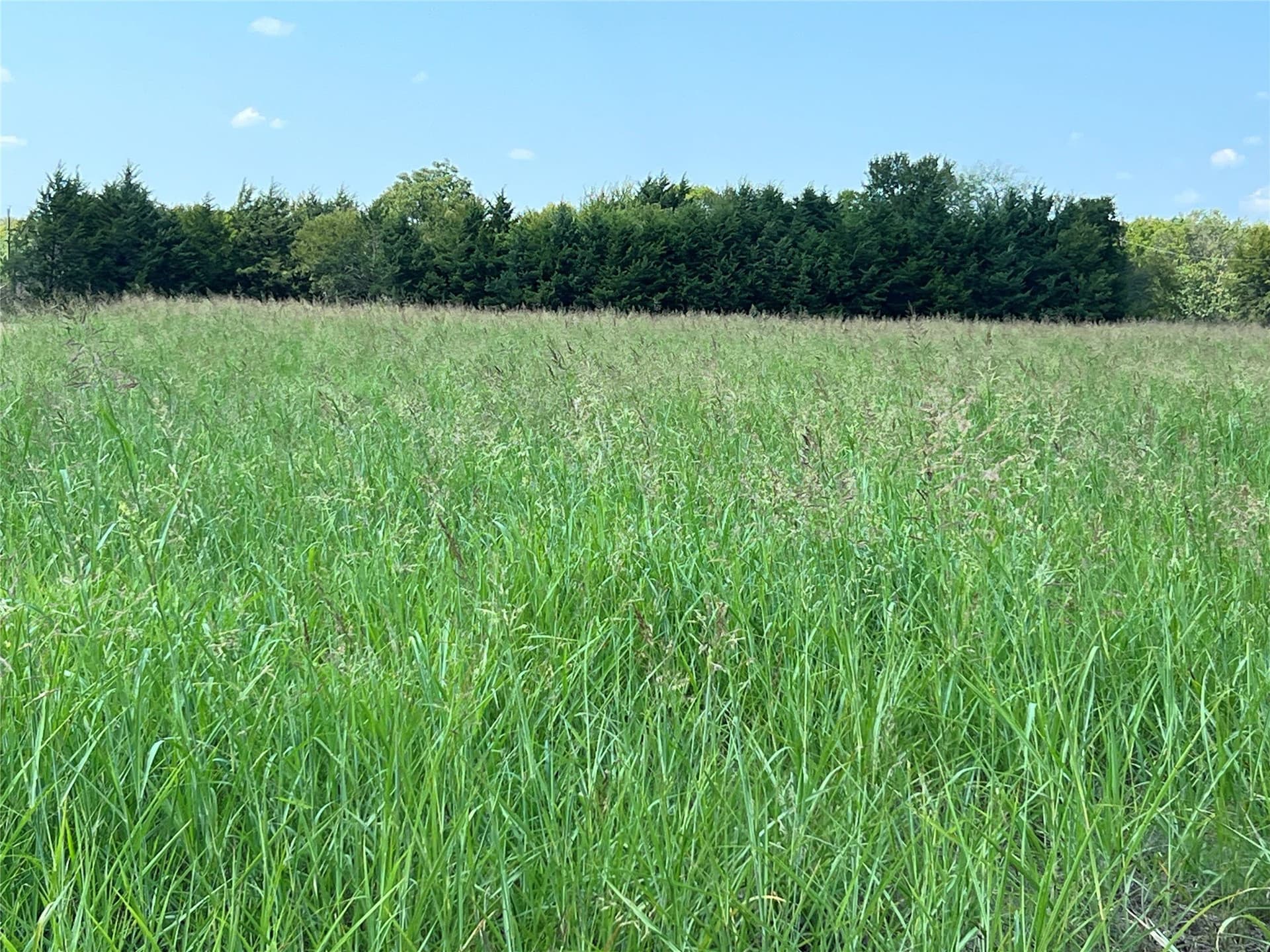 49.5 acres in Delta County - photo 8