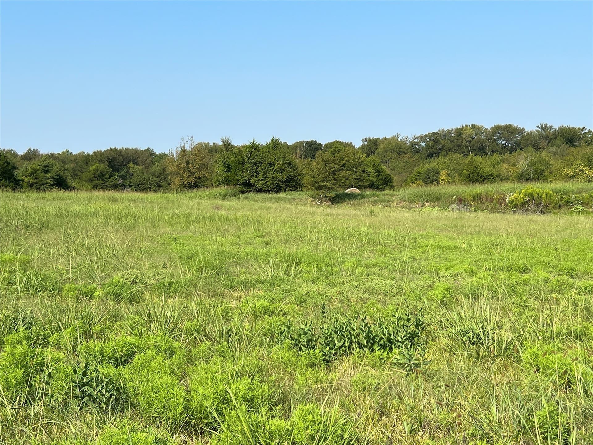 49.5 acres in Delta County - photo 18