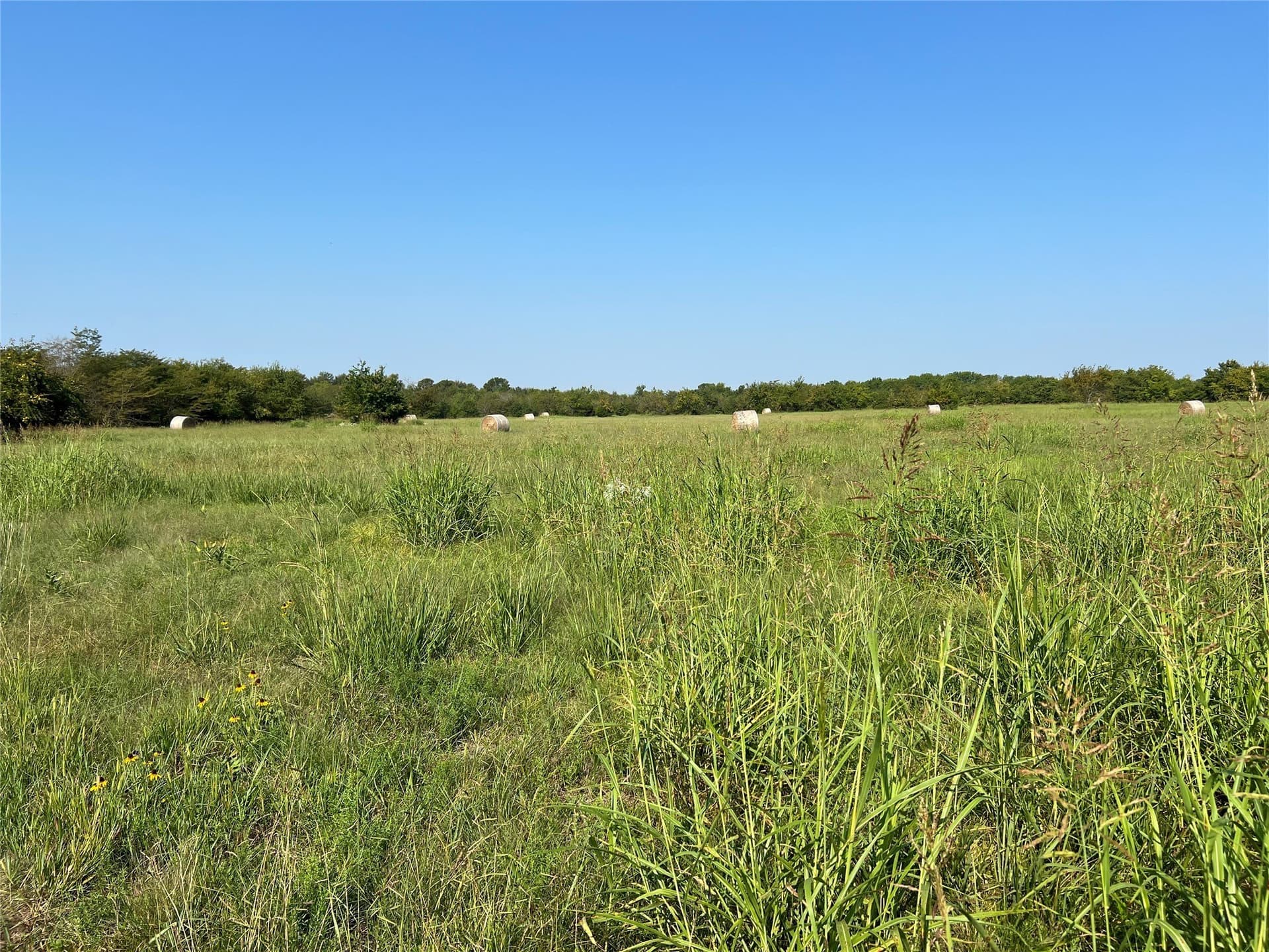 49.5 acres in Delta County - photo 23