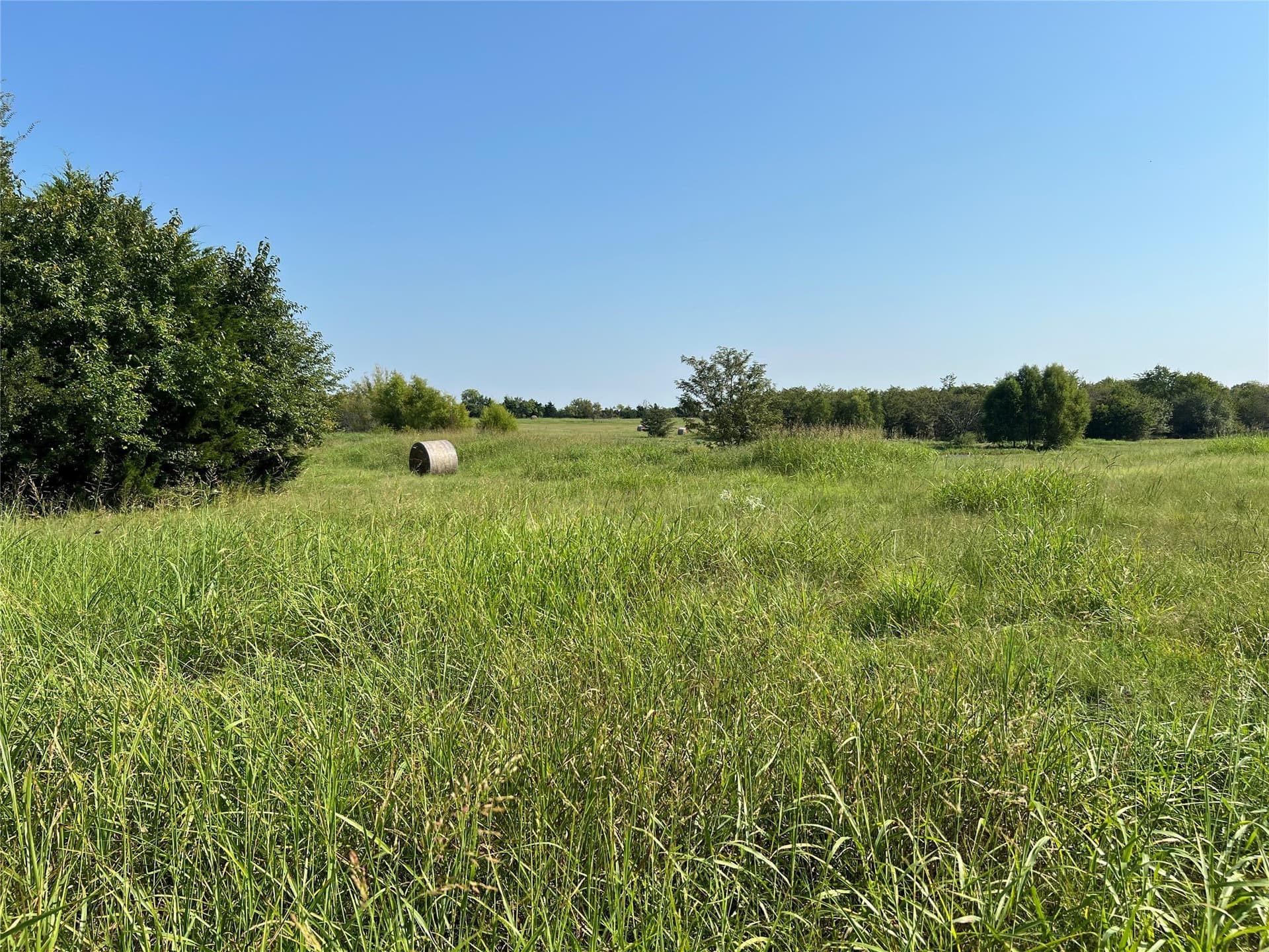 49.5 acres in Delta County - photo 14