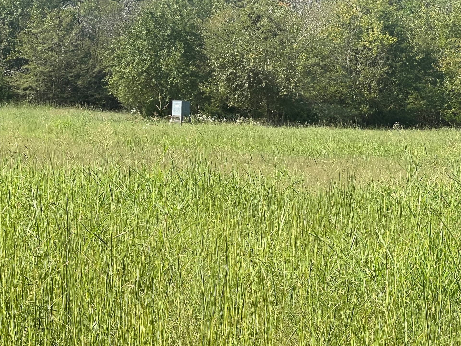 49.5 acres in Delta County featured view