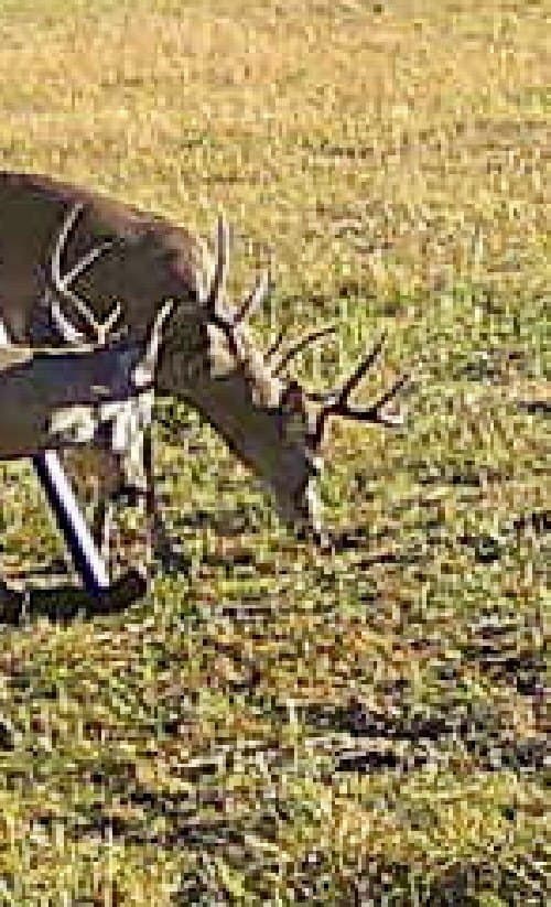 49.5 acres in Delta County - photo 27
