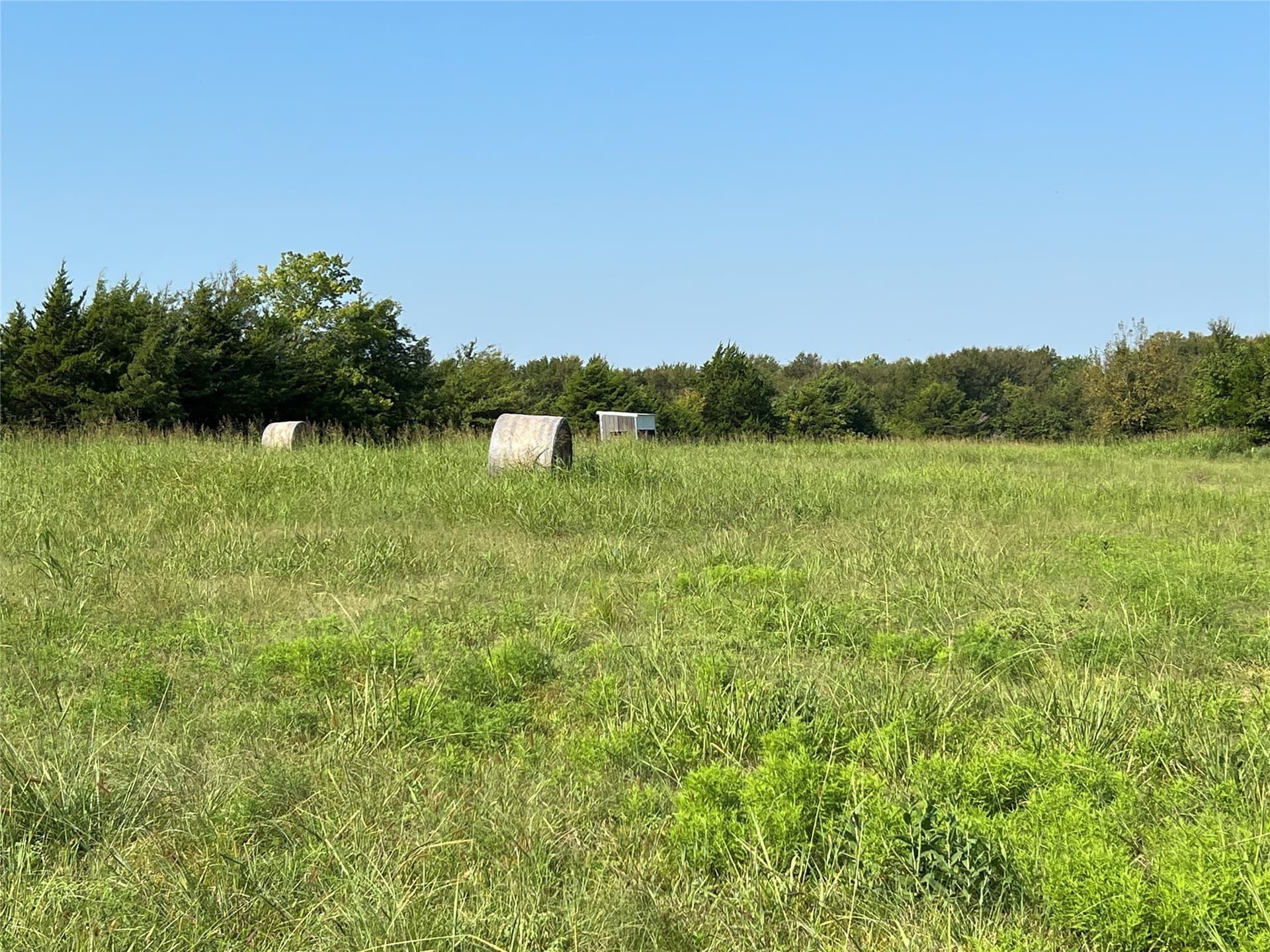 49.5 acres in Delta County - photo 17