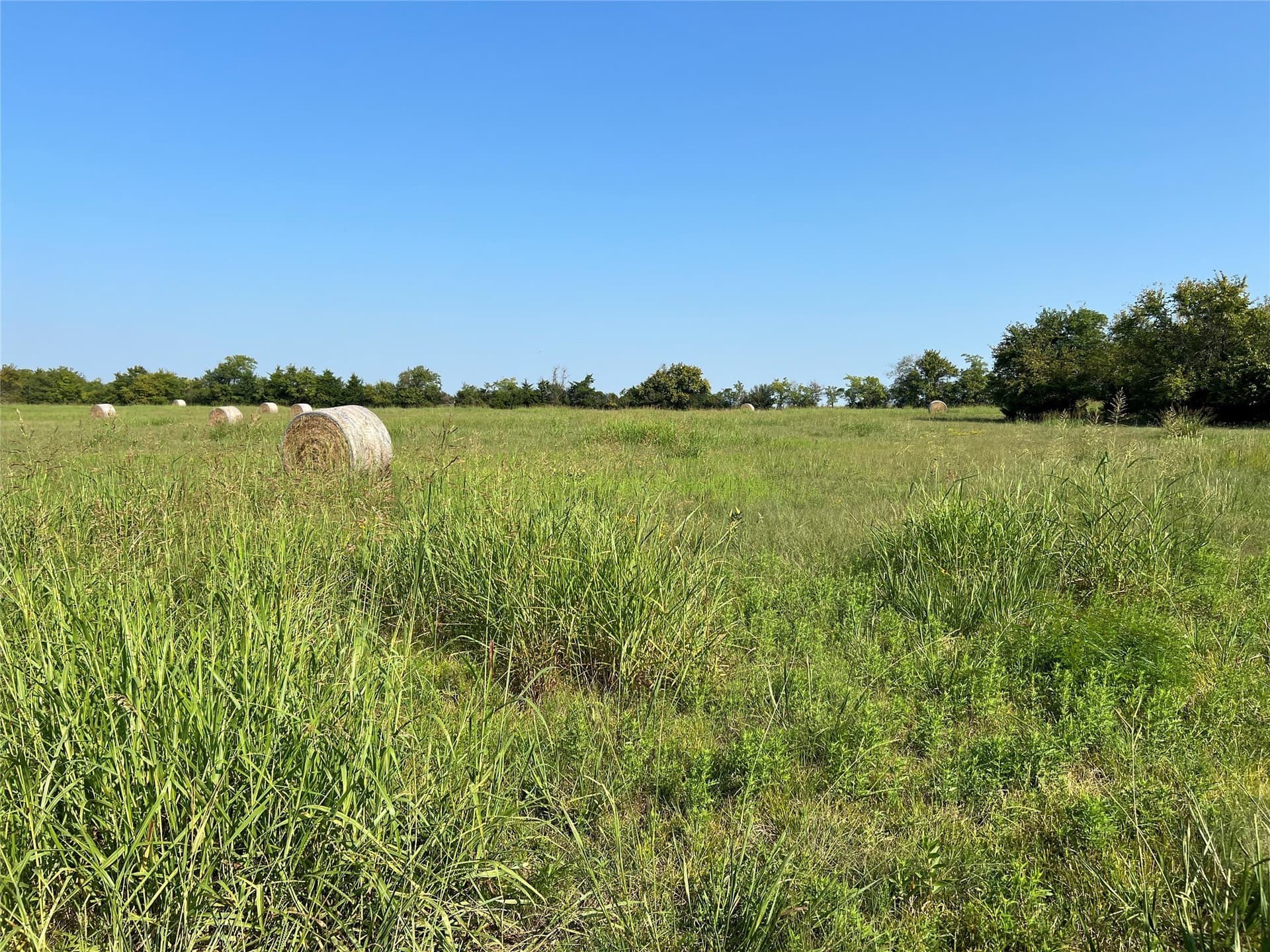 49.5 acres in Delta County - photo 24