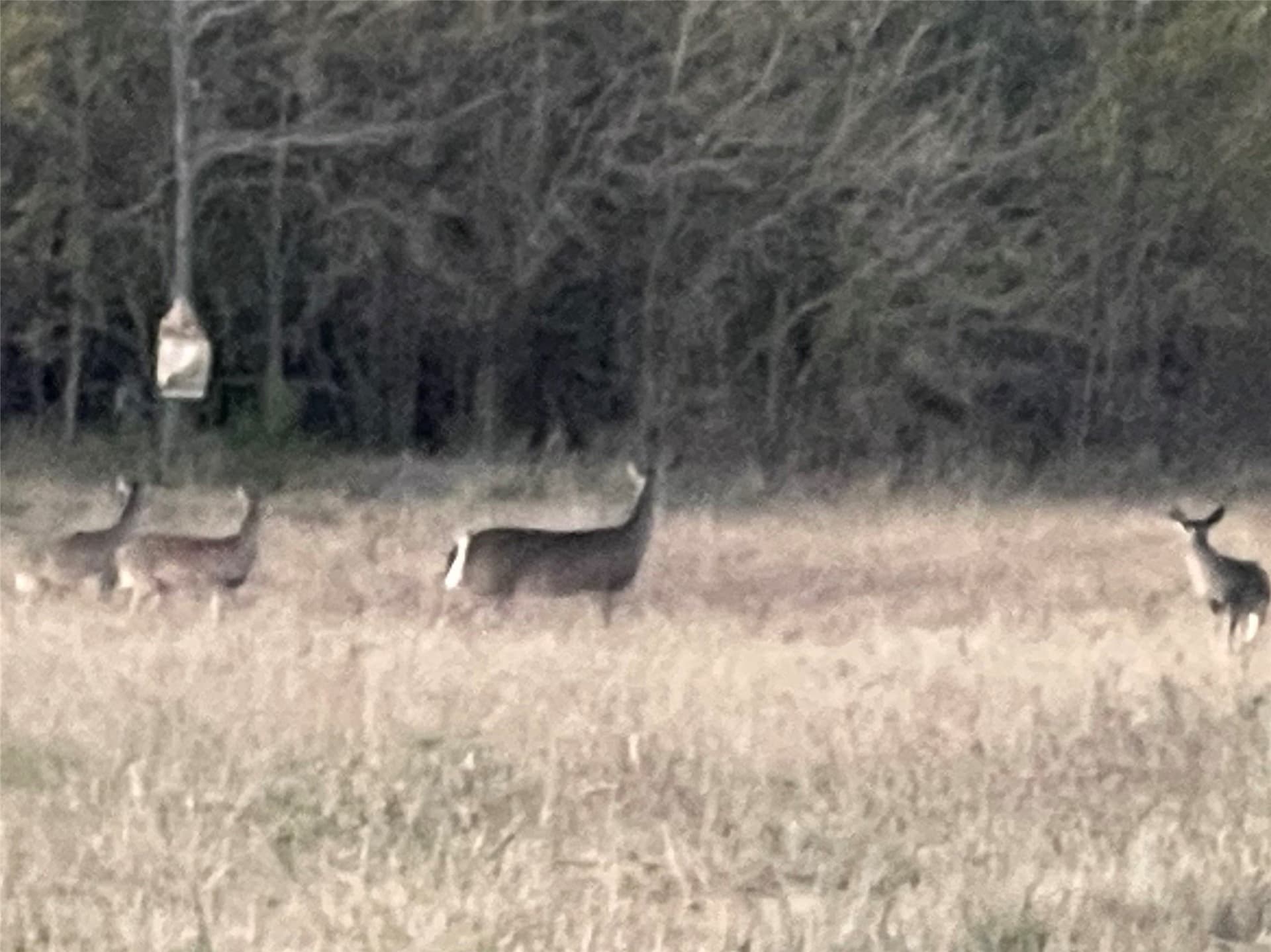 49.5 acres in Delta County - photo 28