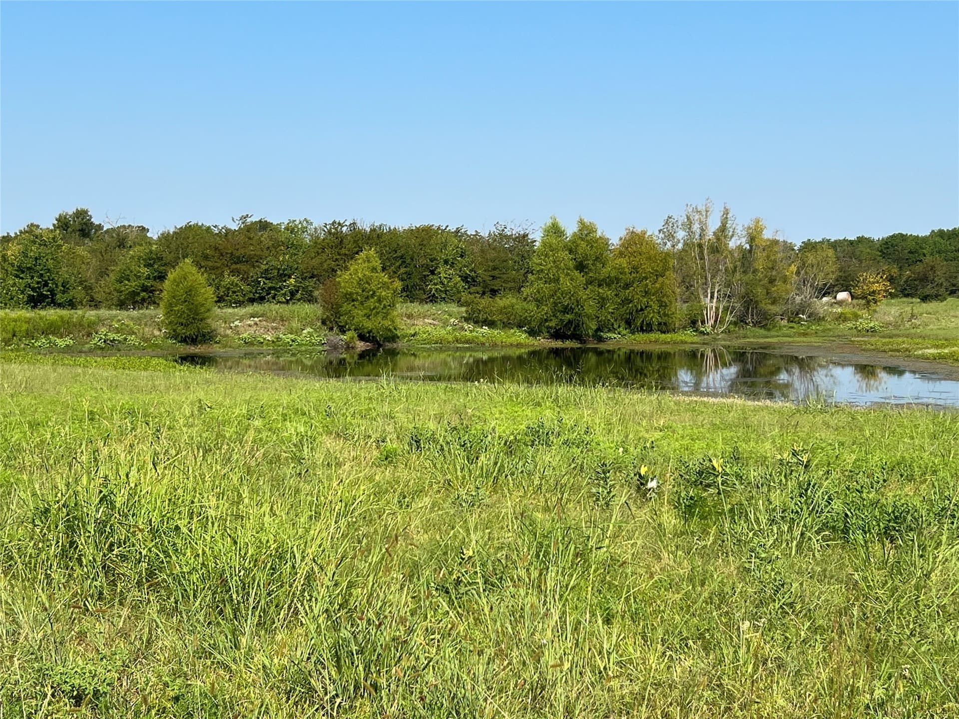 49.5 acres in Delta County - photo 19