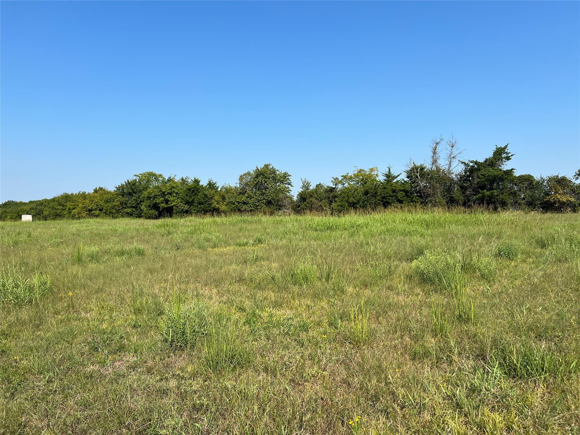 49.5 acres in Delta County - photo 10