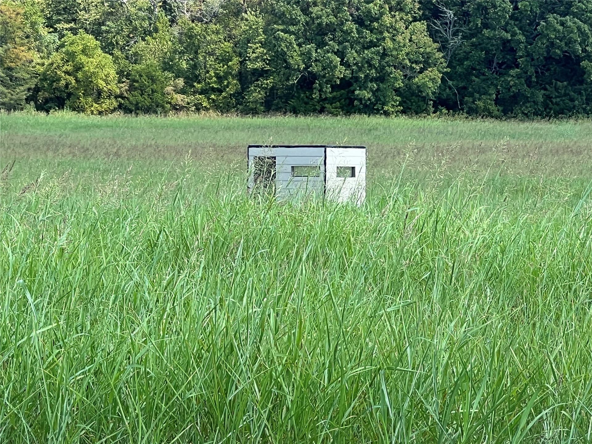 49.5 acres in Delta County - photo 7