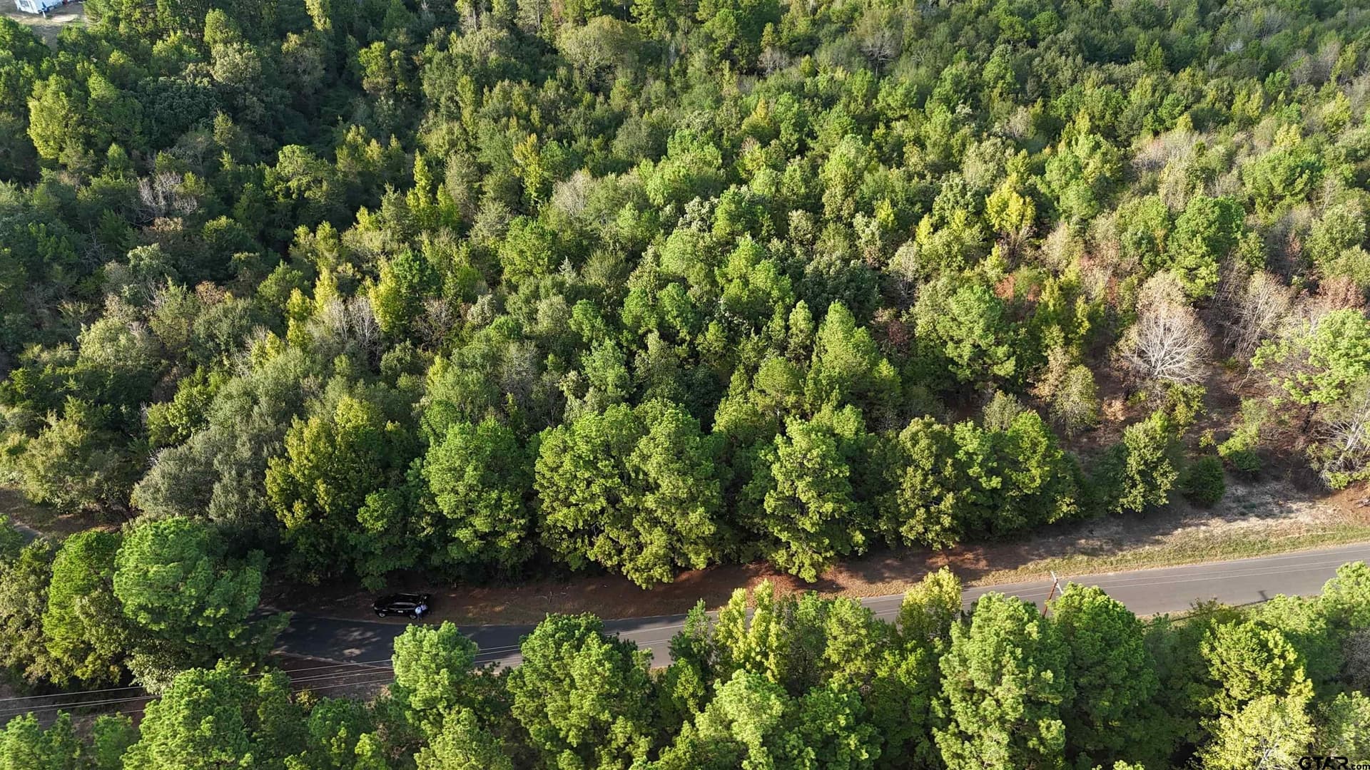 11 acres in Wood County - photo 16