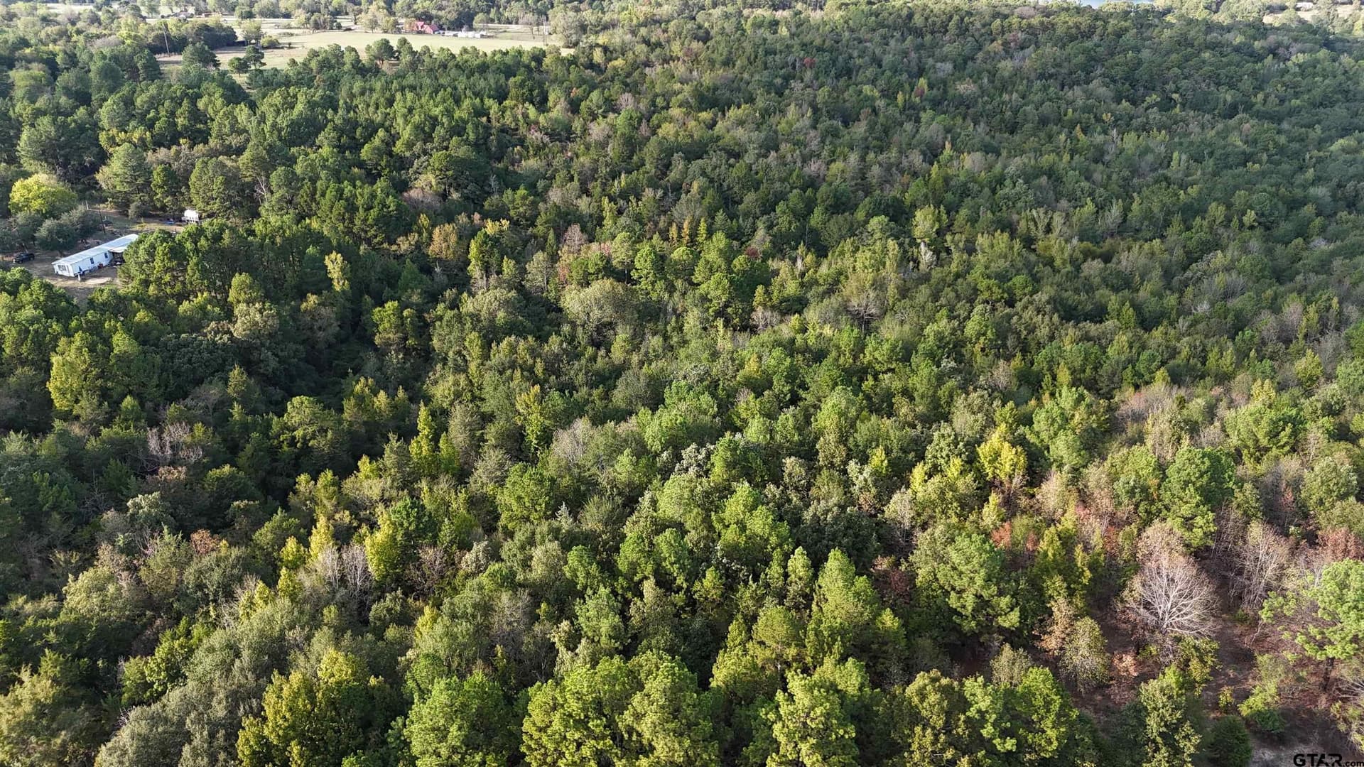 11 acres in Wood County - photo 3